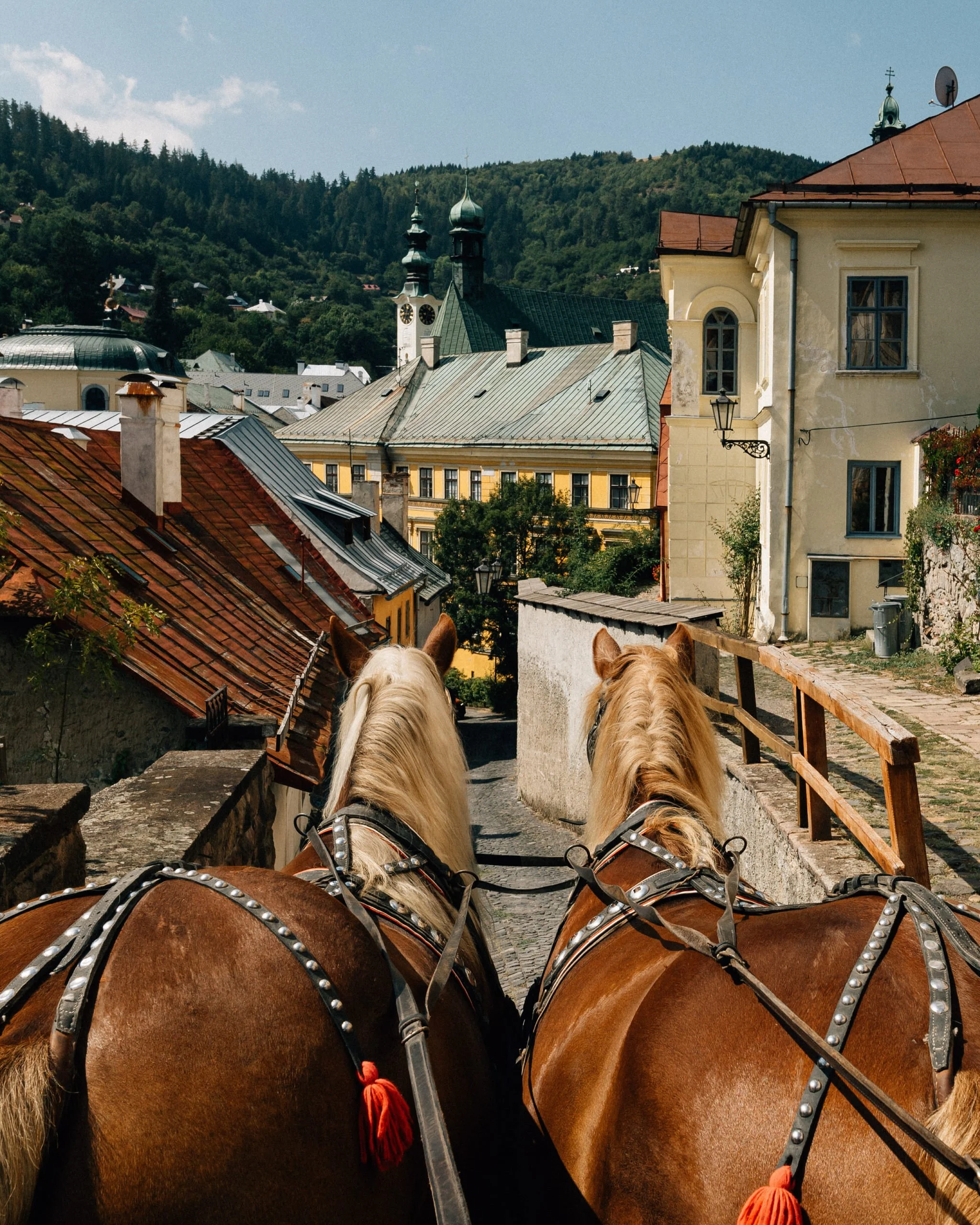 va013-horse-carriage-european-medieval-town-wedding.jpg