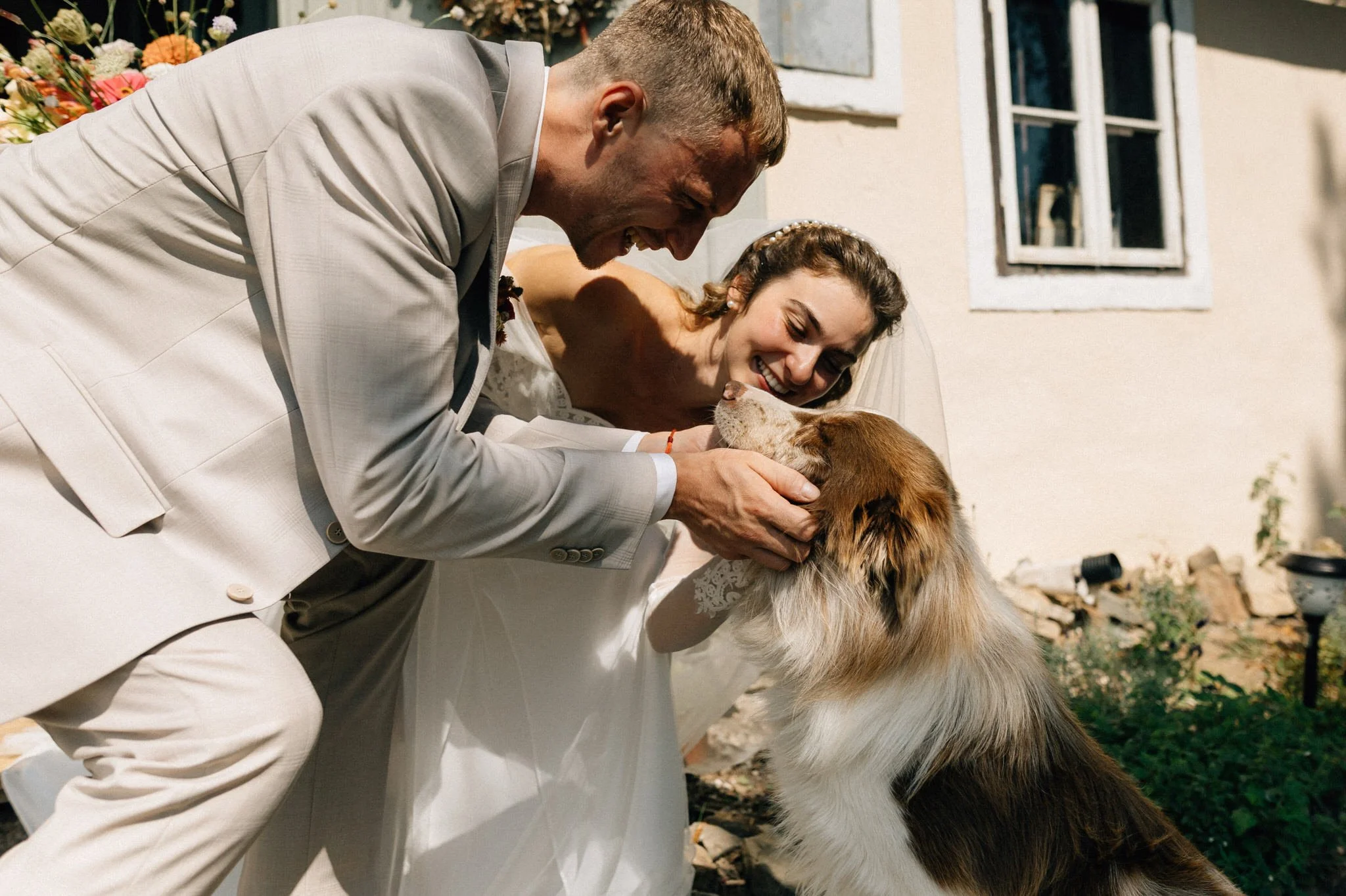va037-wedding-dog-cuddle.jpg