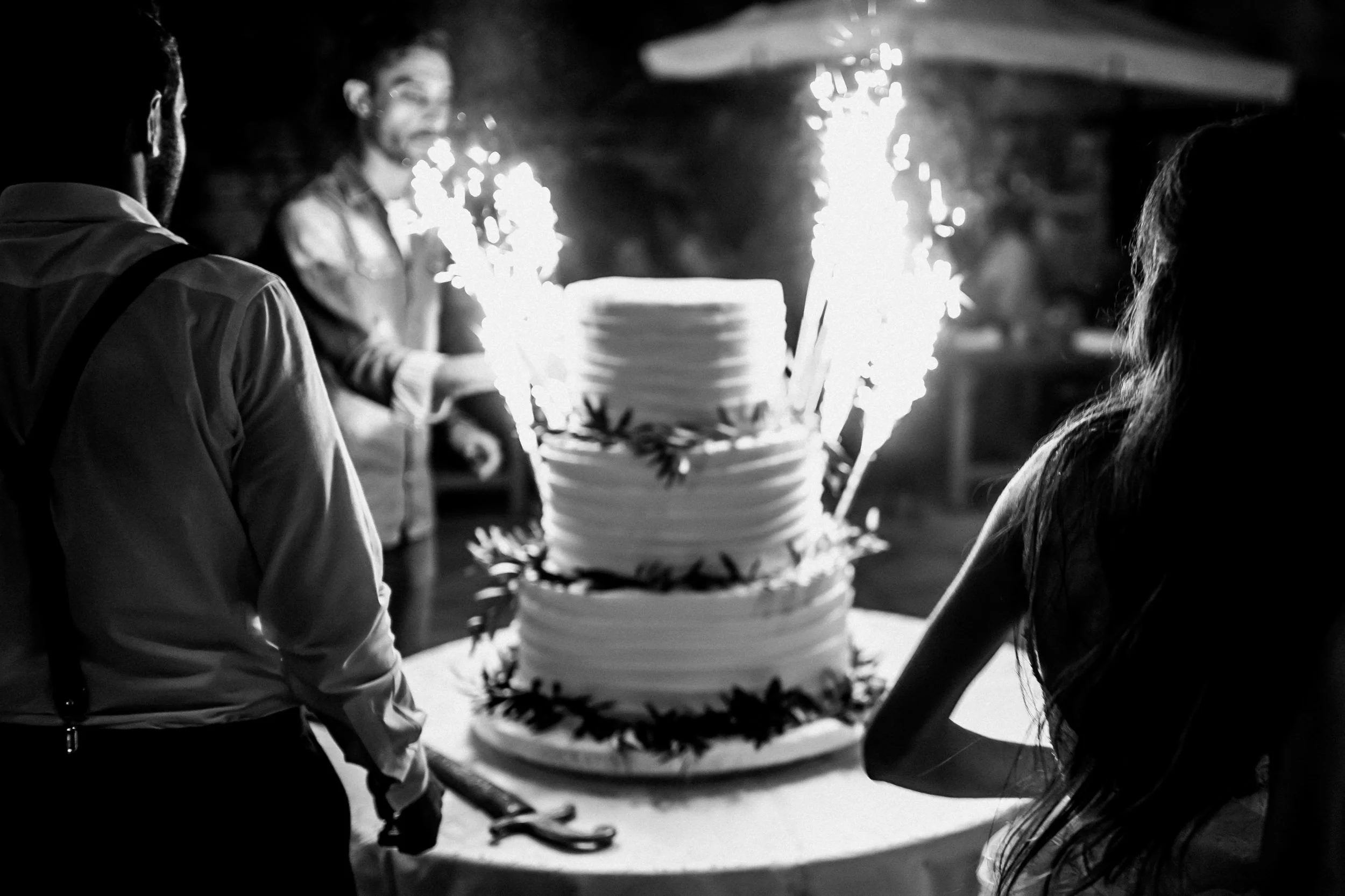 nn014-wedding-cake-documentry-photo.jpg