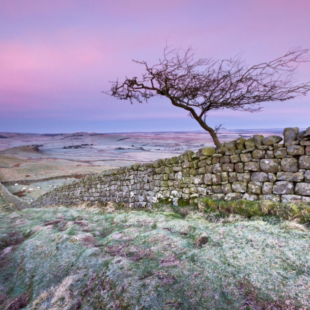✨ Experience the Magic of Christmas in Northumberland ✨

From twinkling lights to scenic winter walks, Northumberland transforms into a festive wonderland during the Christmas season! Visit our website to find out about the must-visit spots to add to