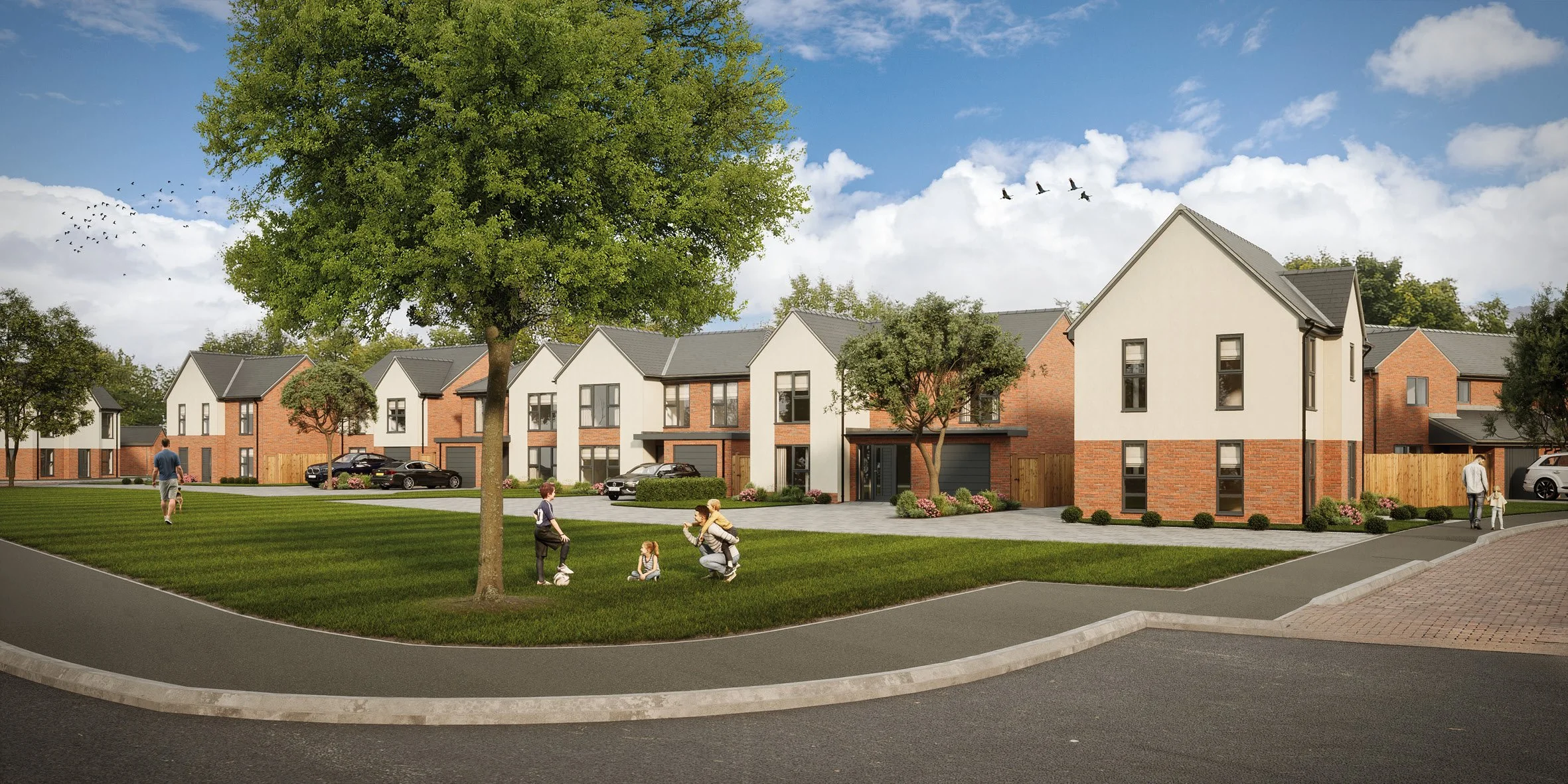 ELLINGTON Wayside Point — Ascent Homes