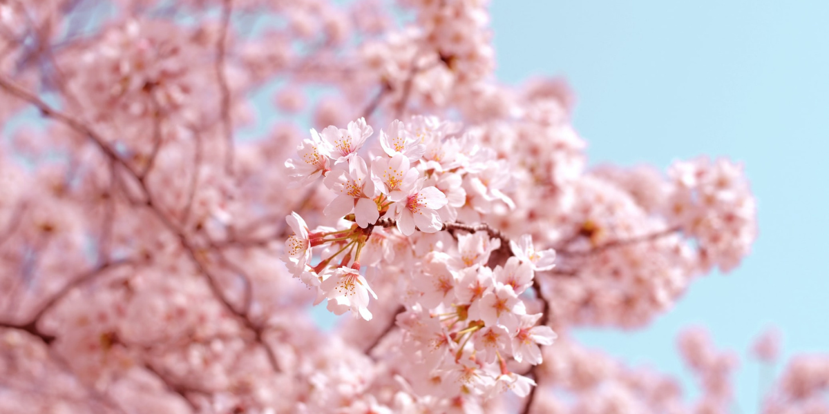 A gentler approach to spring cleaning