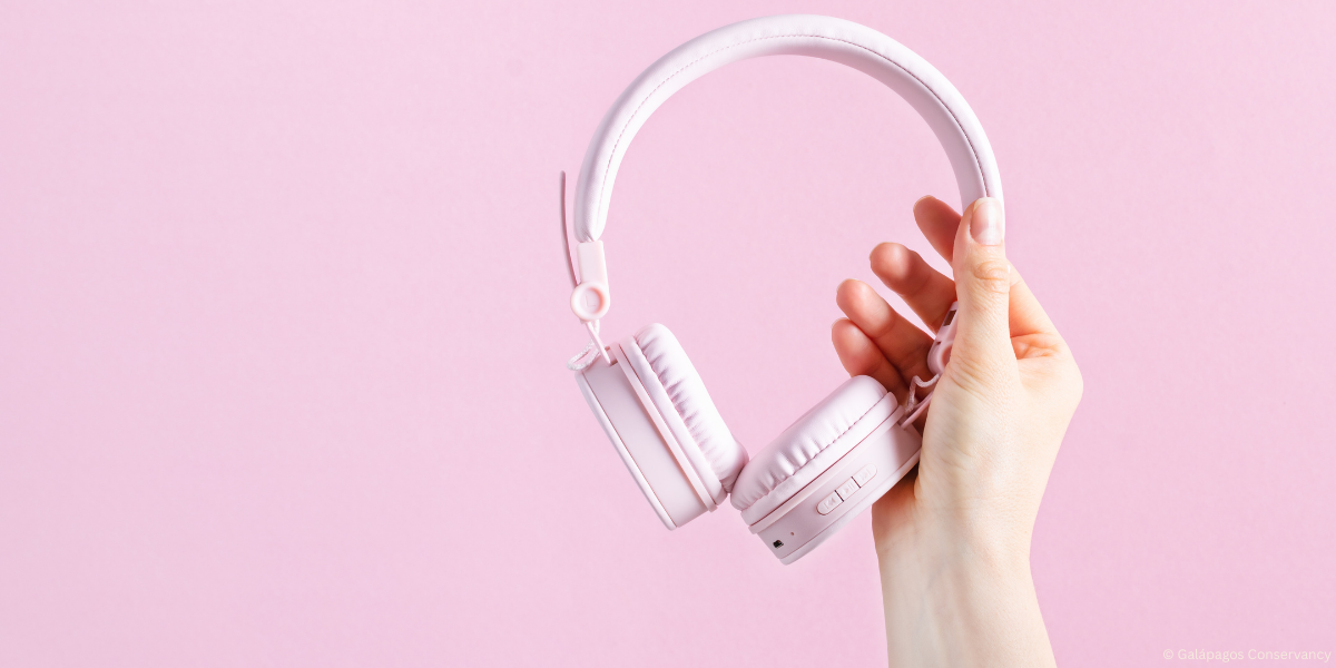 The “always on” effect