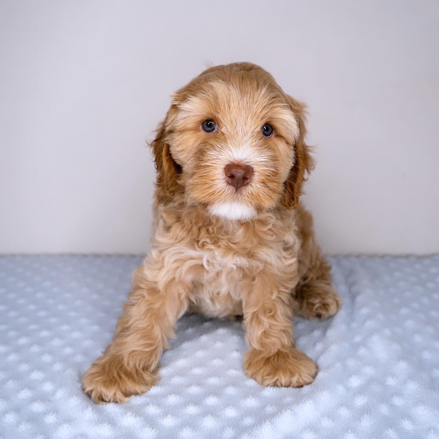 Website photo - Mario.JPG