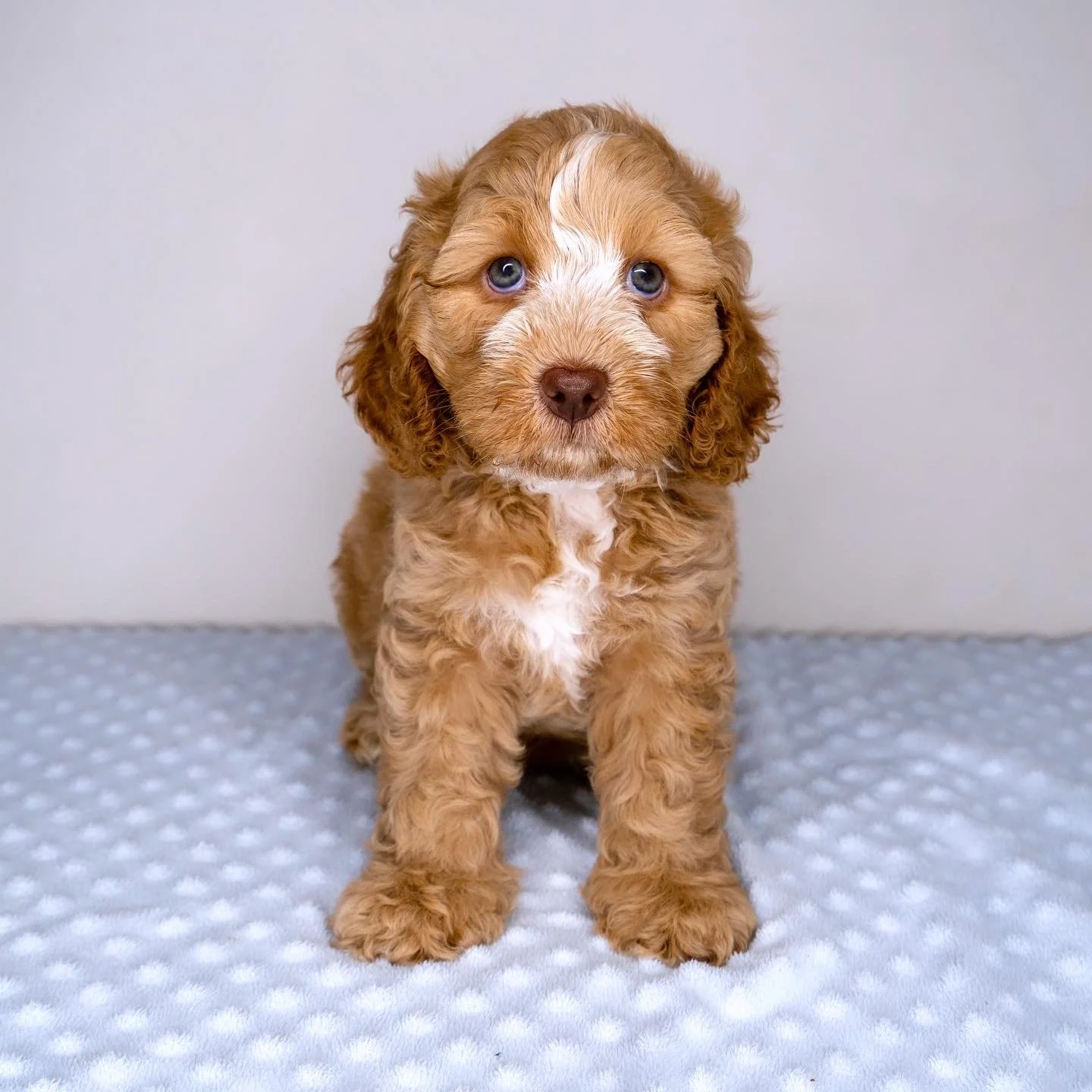 Website photo - Peaches.JPG