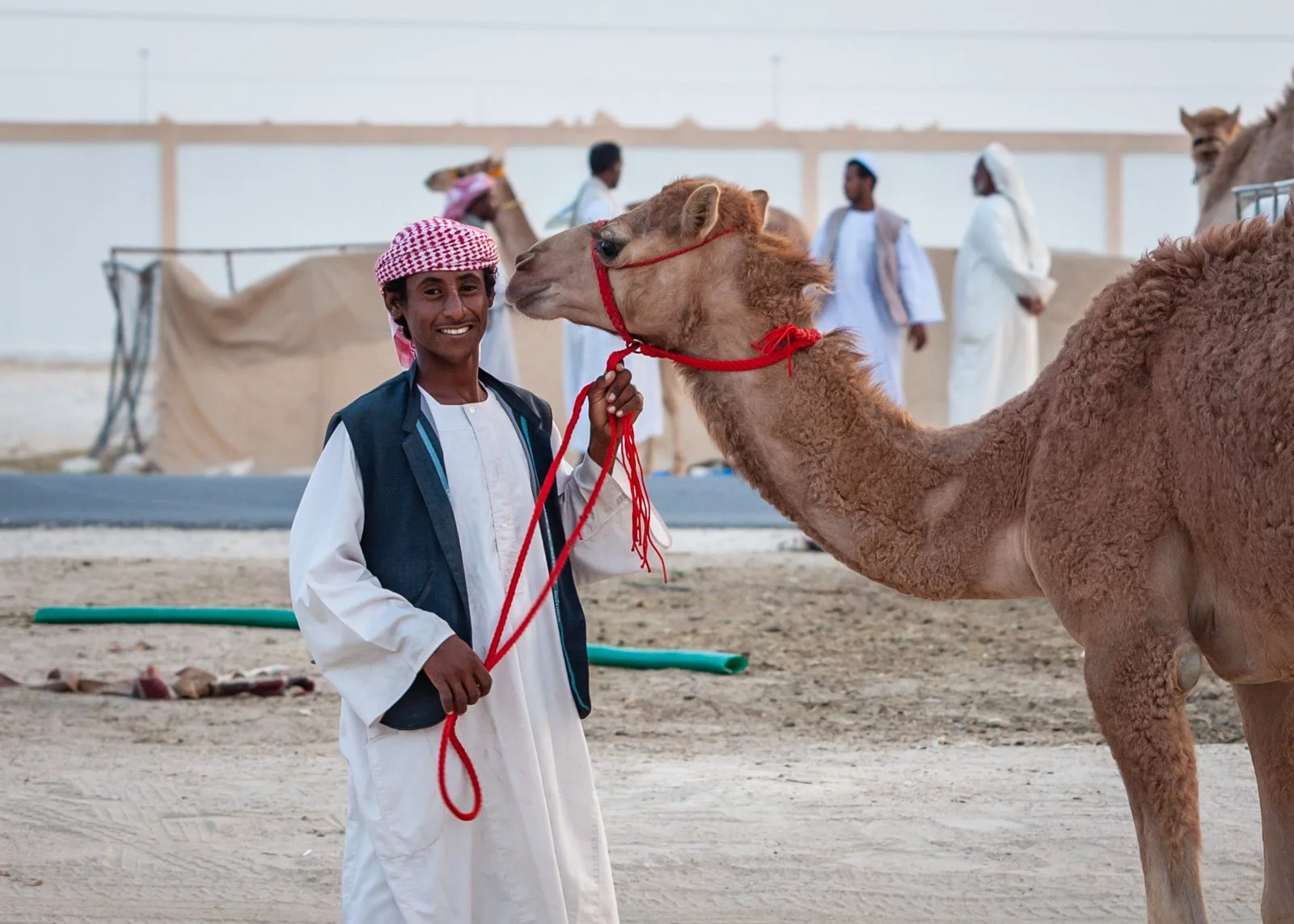 travel photography qatar camel racing track.jpg
