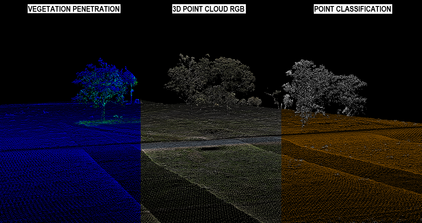 COMBINED IMAGES UPDATED TITLES.png