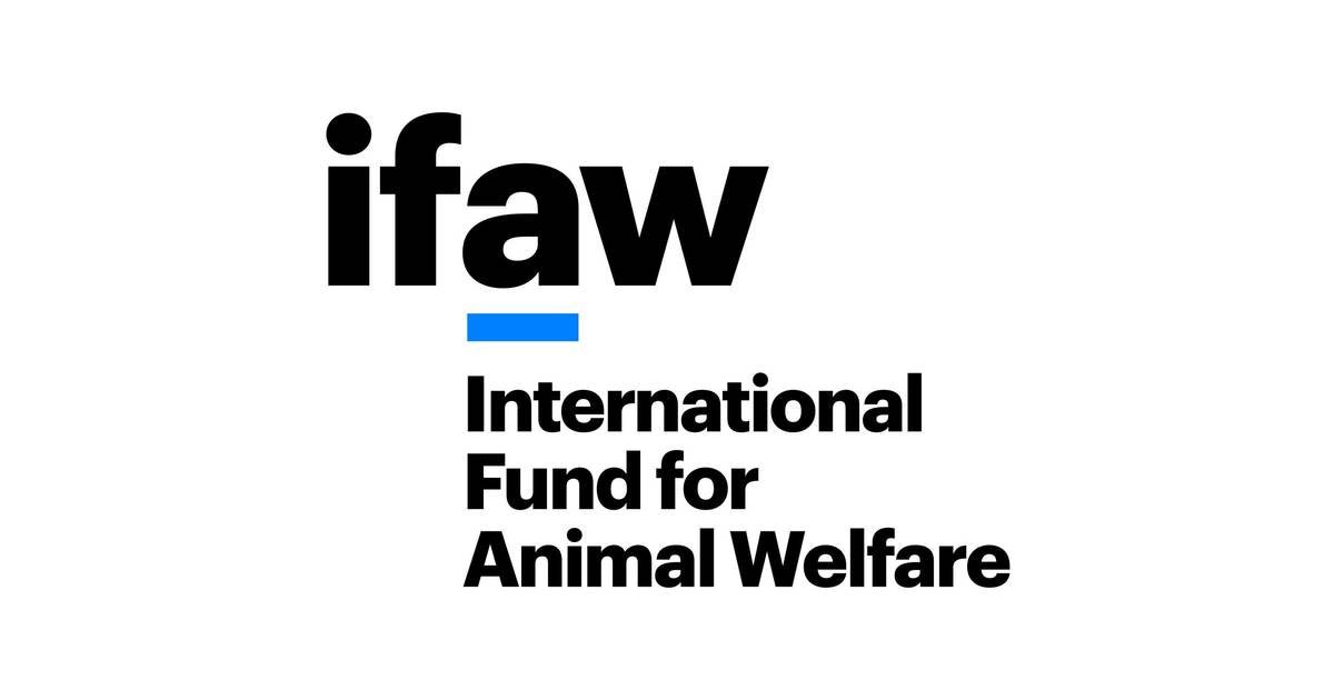 IFAW.jpeg