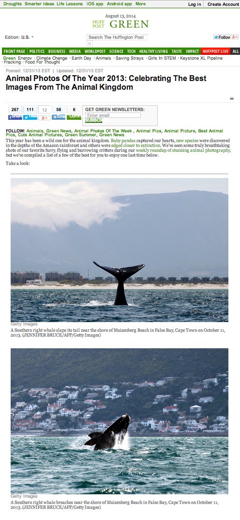 Huff post pics of the year.jpg
