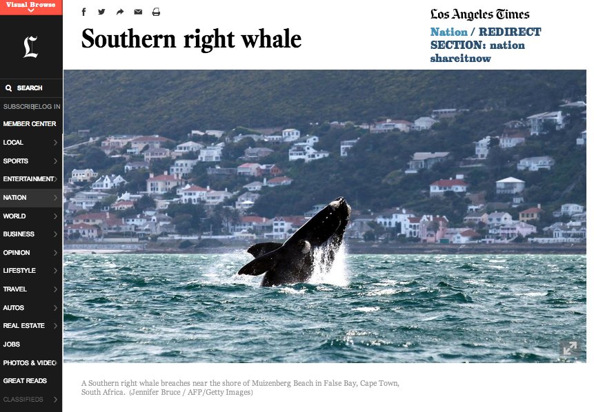 JB whale LA Times.jpg