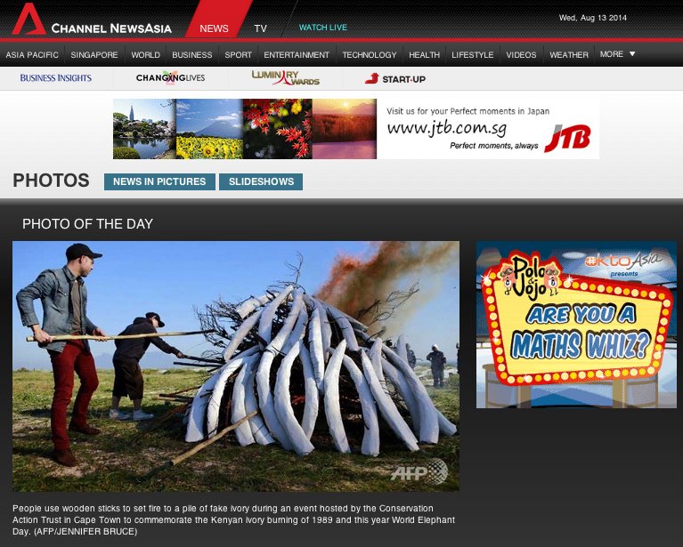 news asia world elephant day1.jpg