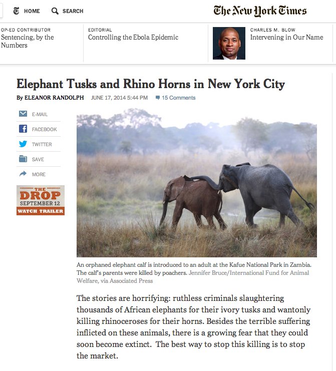 JB elephants NYT.jpg
