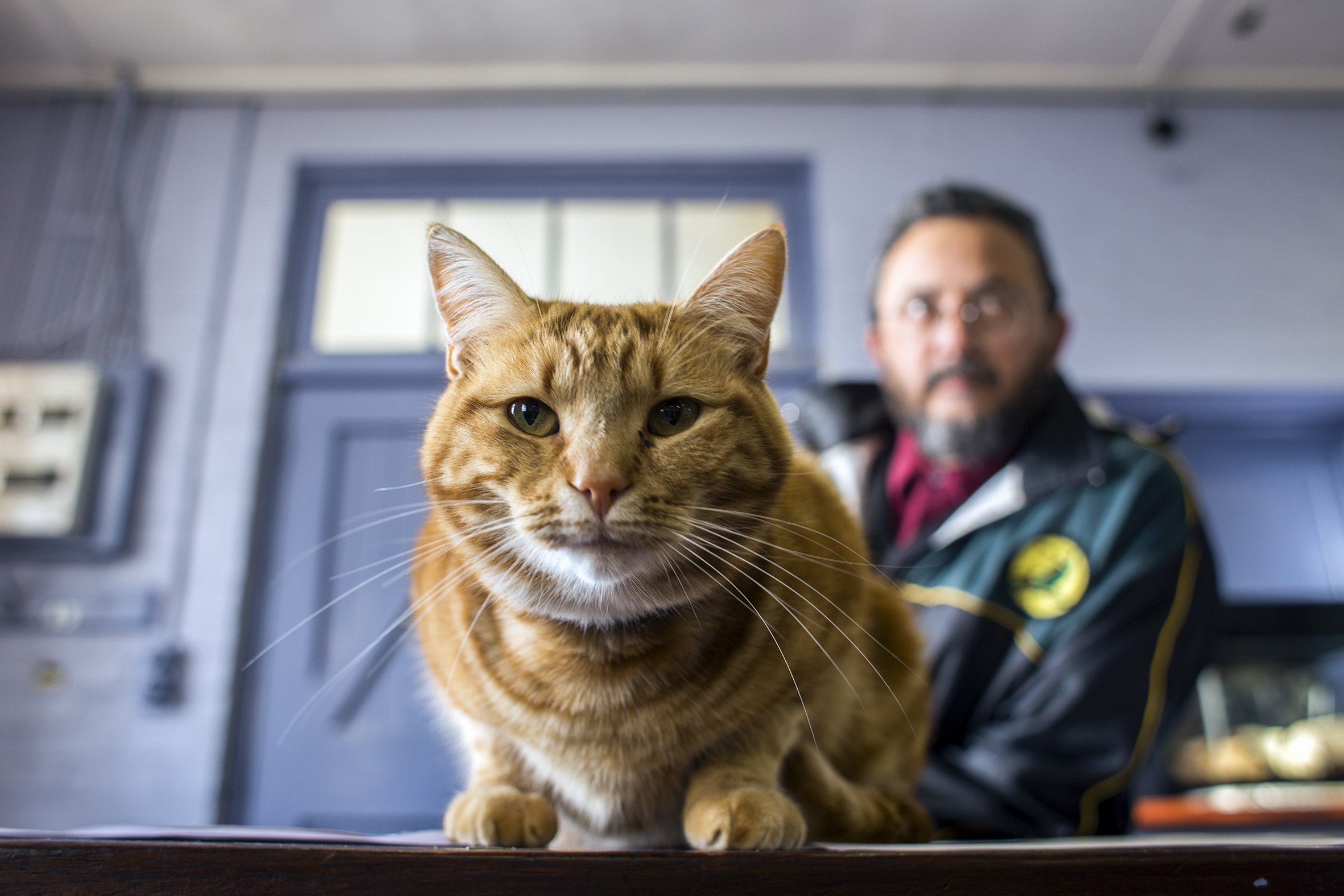 Moosa Mohadick principal of the Ottery Youth Care Centre in Cape Town with his cat Two-Kit. May 2017.