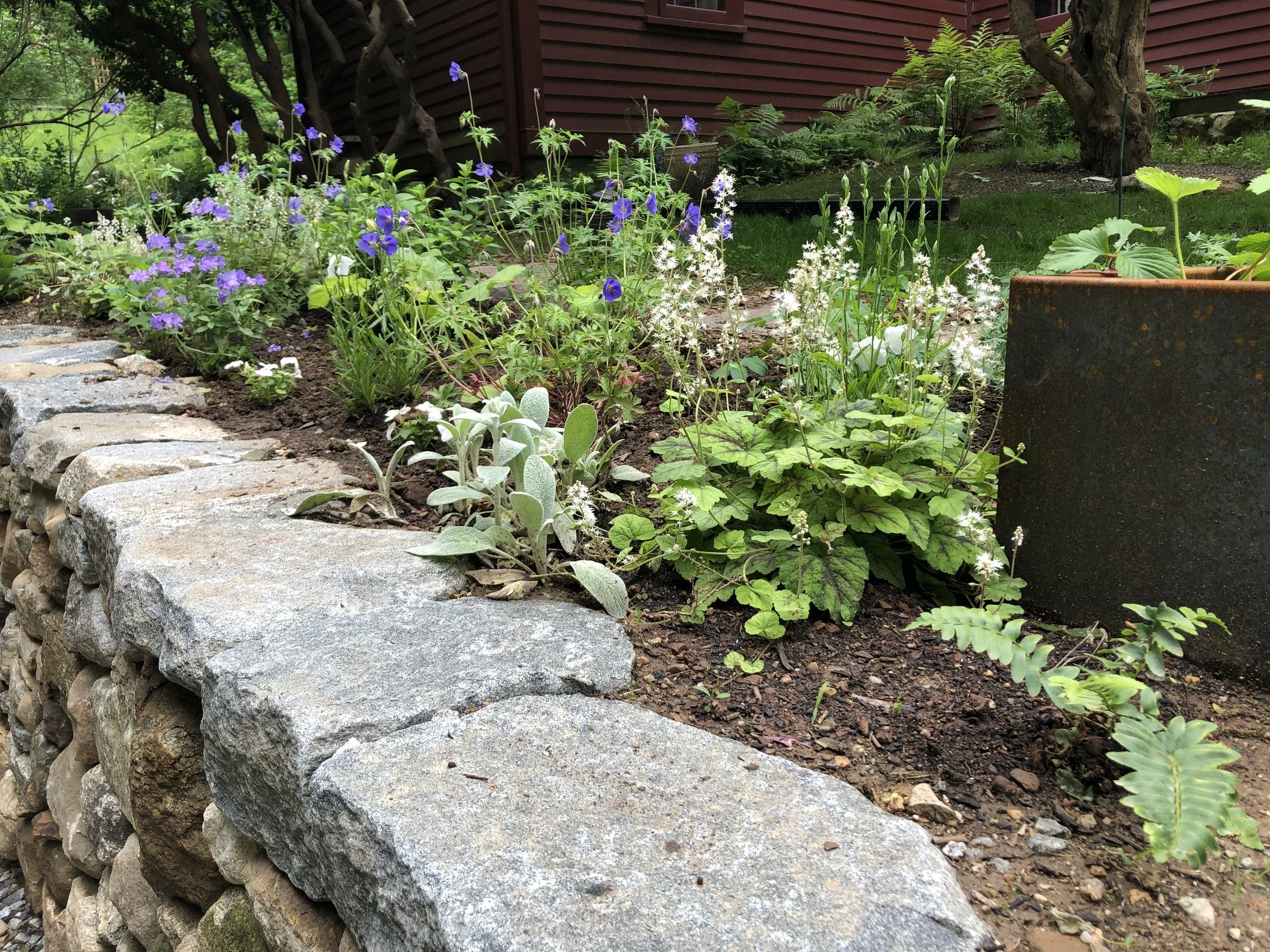 Garden Year in Review 2025