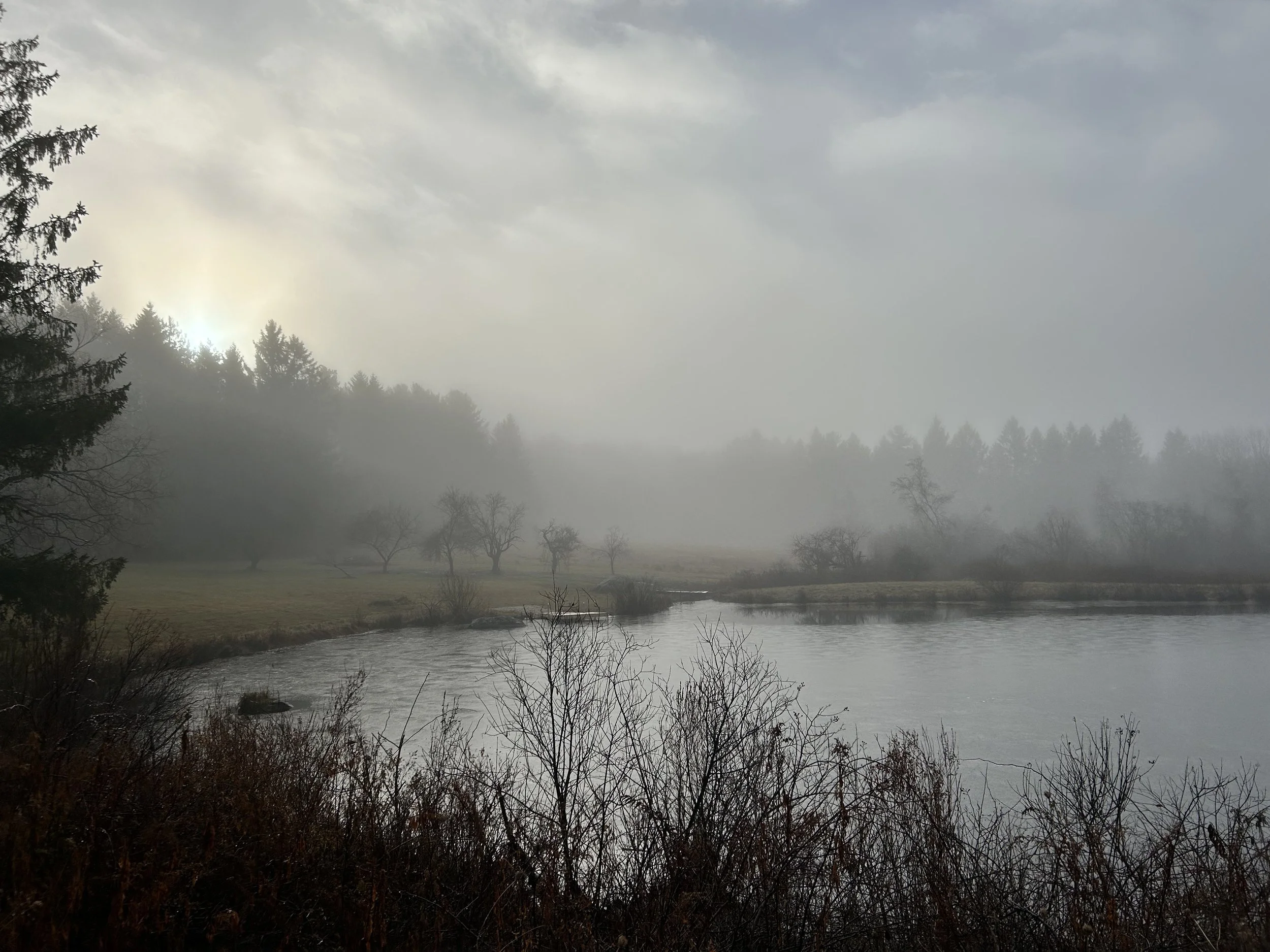 A foggy landscape with a river in the foreground, leafless trees along the bank, and mist-covered grassy fields with distant trees and cloudy sky.