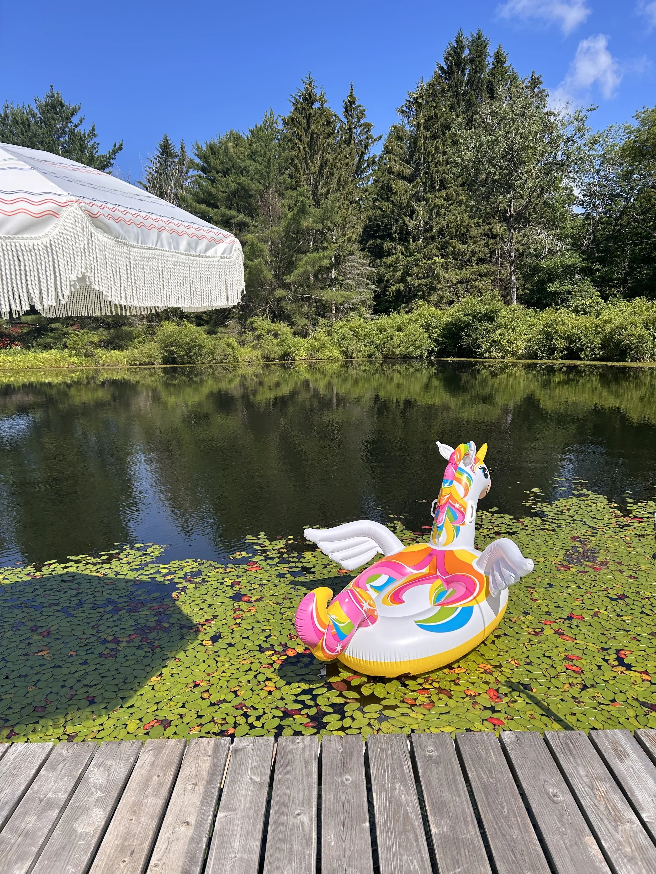Inflatable unicorn with rainbow colors floating on a pond with lily pads. A large white parasol with fringes is on the left, and a forest of trees and a blue sky are in the background.