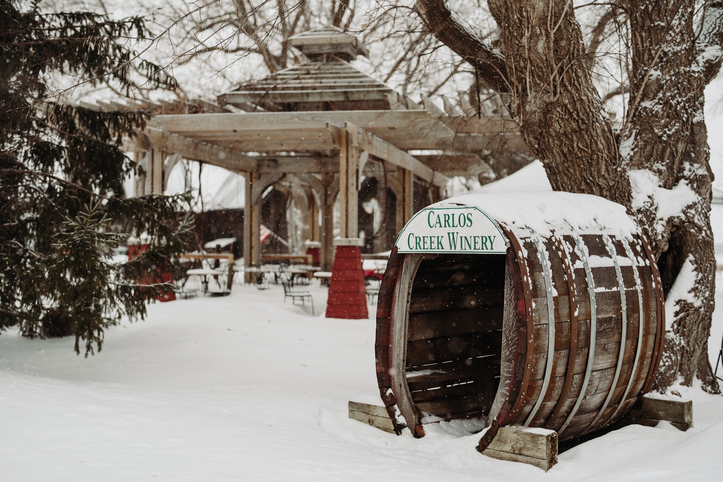 01_Delles-Wedding-851_A winter wedding at Bold North Cellars in Alexandria, Minnesota..jpg