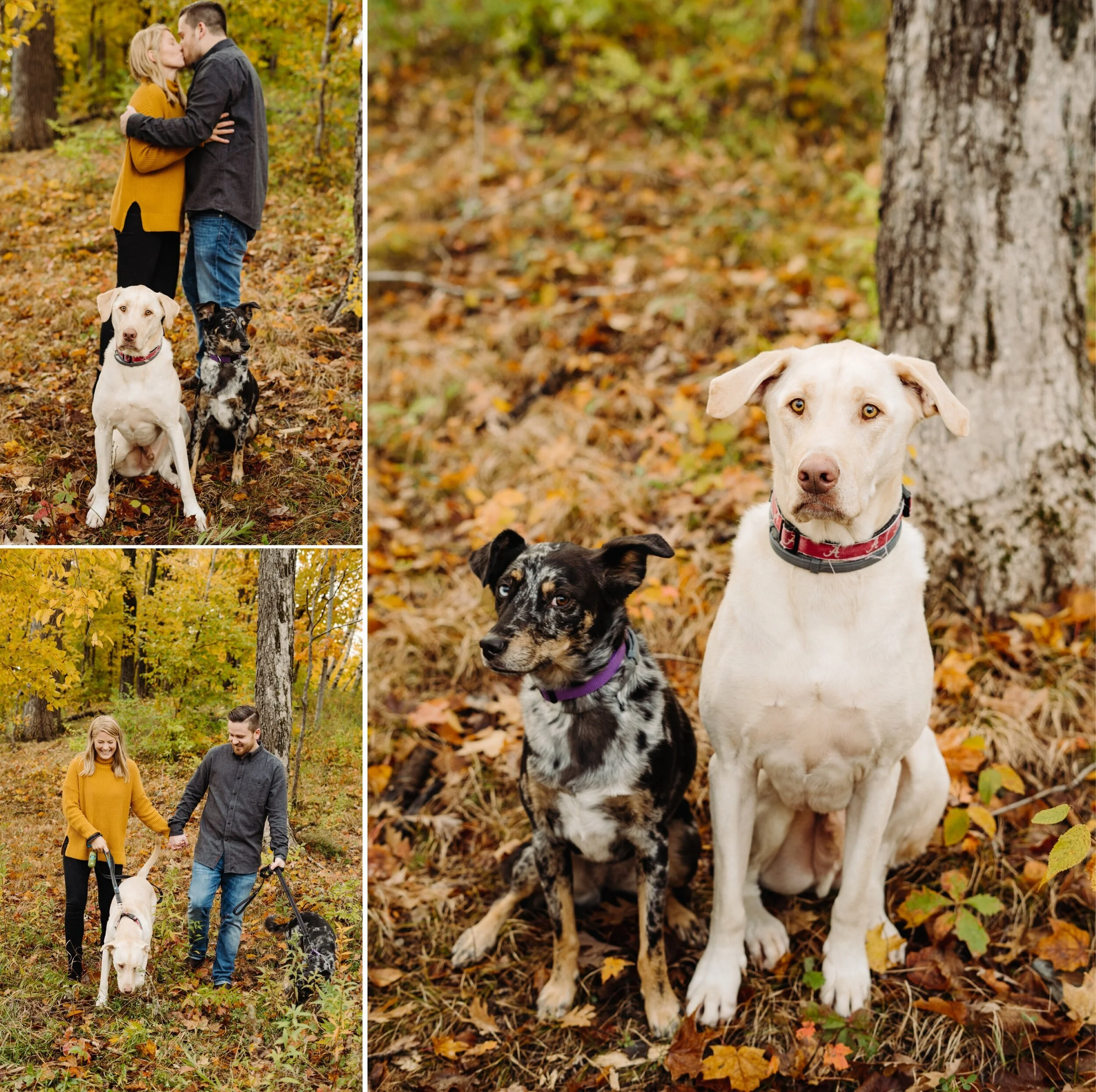 30_st-johns-university-engagement-fall-october-tessa-june-photography-katie-chris-47_st-johns-university-engagement-fall-october-tessa-june-photography-katie-chris-49_st-johns-university-engagement-fall-october-tessa-june-photography-katie-chris-48.jpg