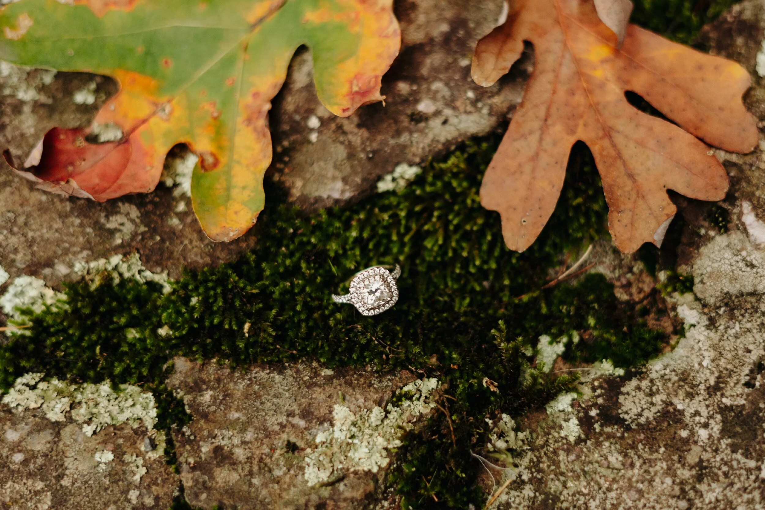 32_taylors-falls-engagement-session-interstate-park-mckenzie-josh-57.jpg