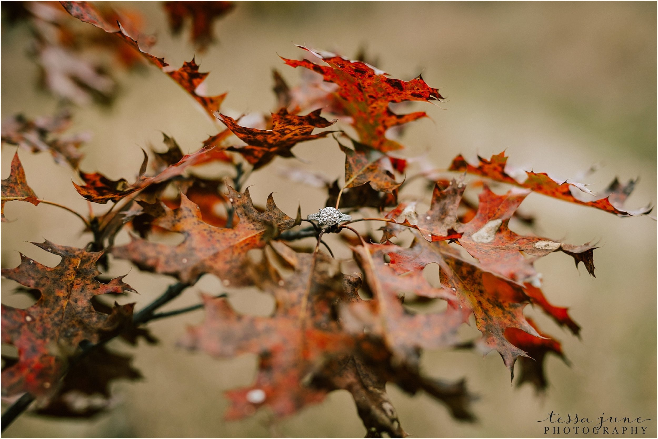 st-cloud-wedding-photographer-lake-maria-engagement-in-the-fall-24.jpg