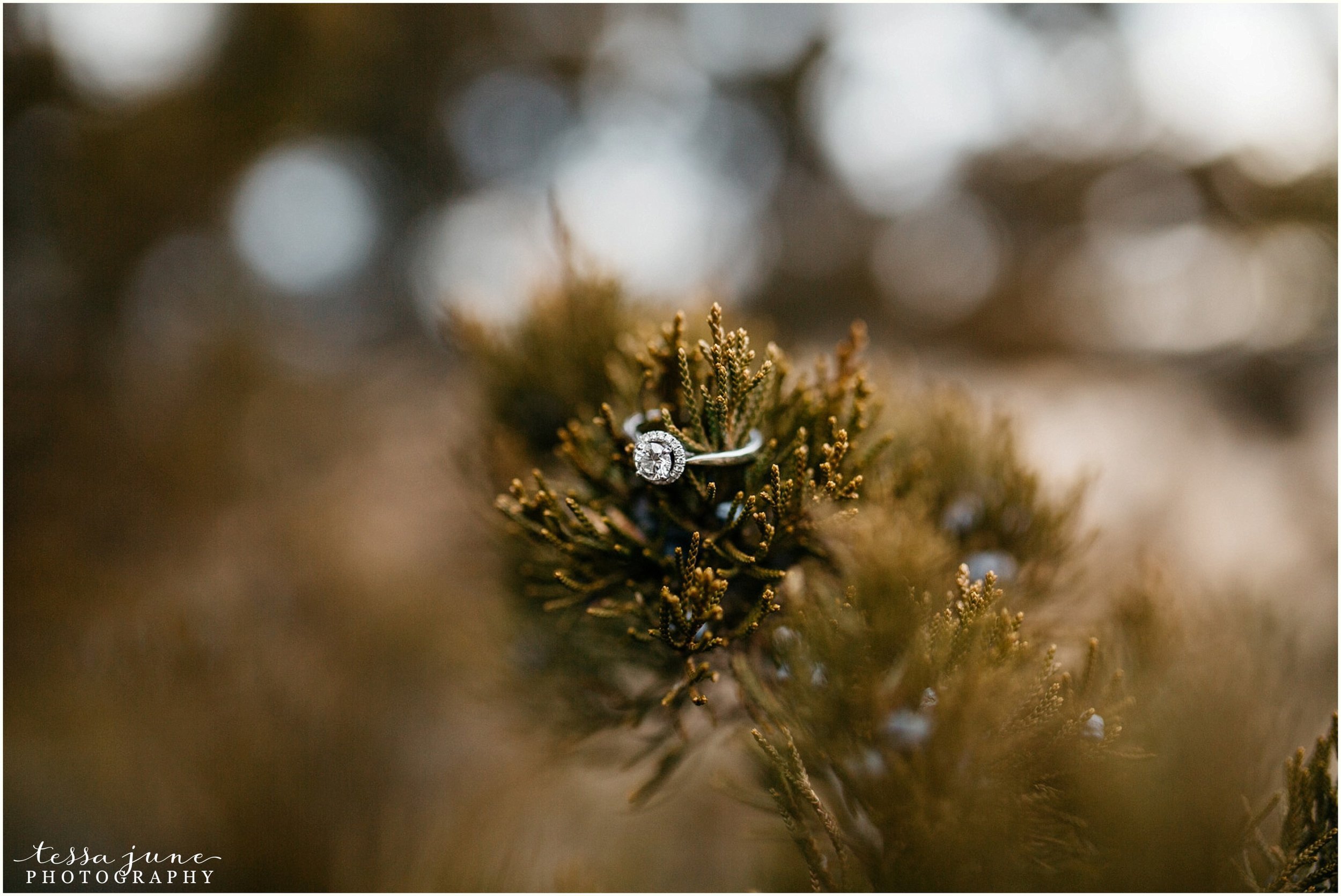 february-woods-engagement-session-st-cloud-montissippi-park-42.jpg