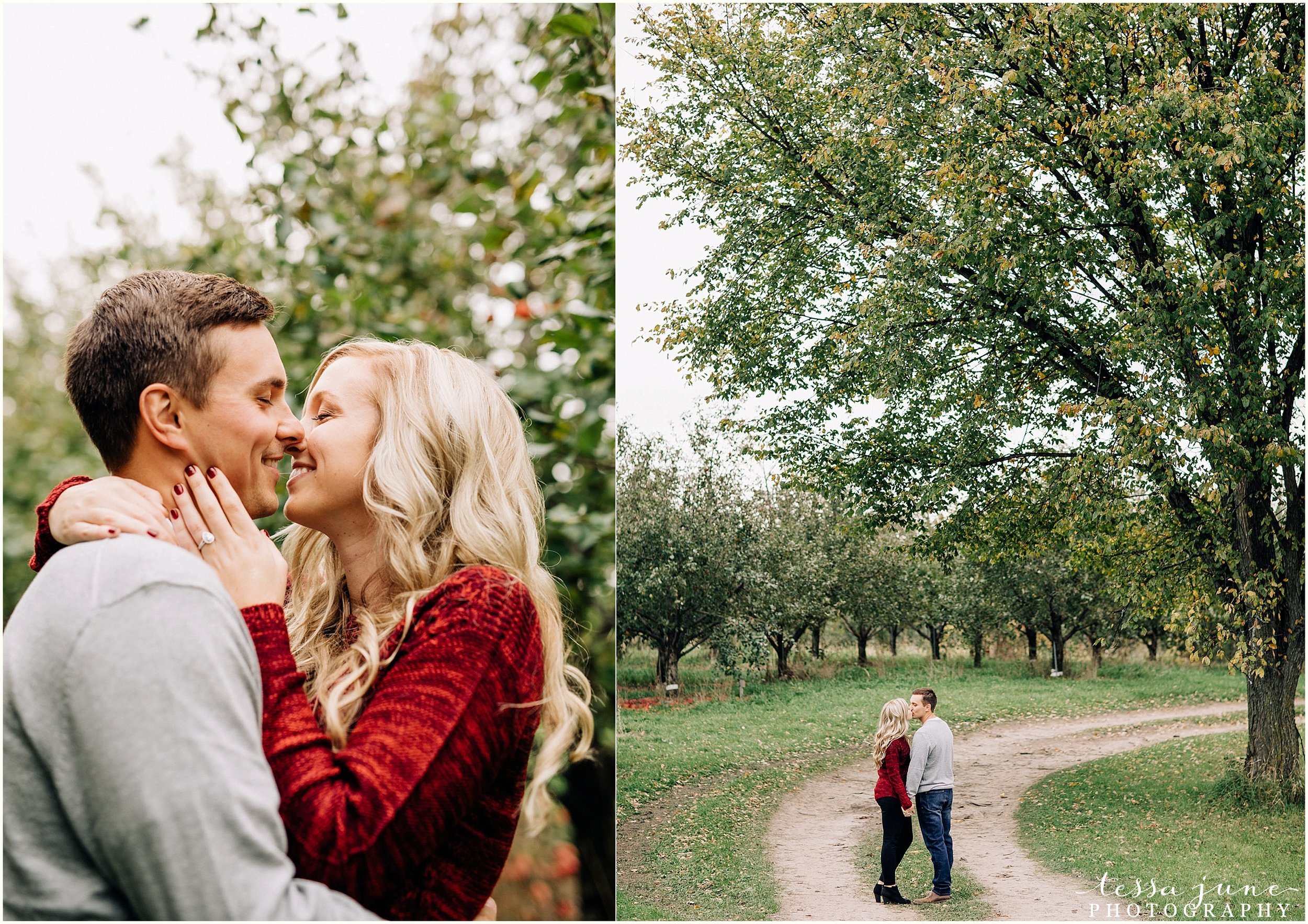 deer-lake-orchard-buffalo-minnesota-fall-engagement-st-cloud-photographer-9.jpg