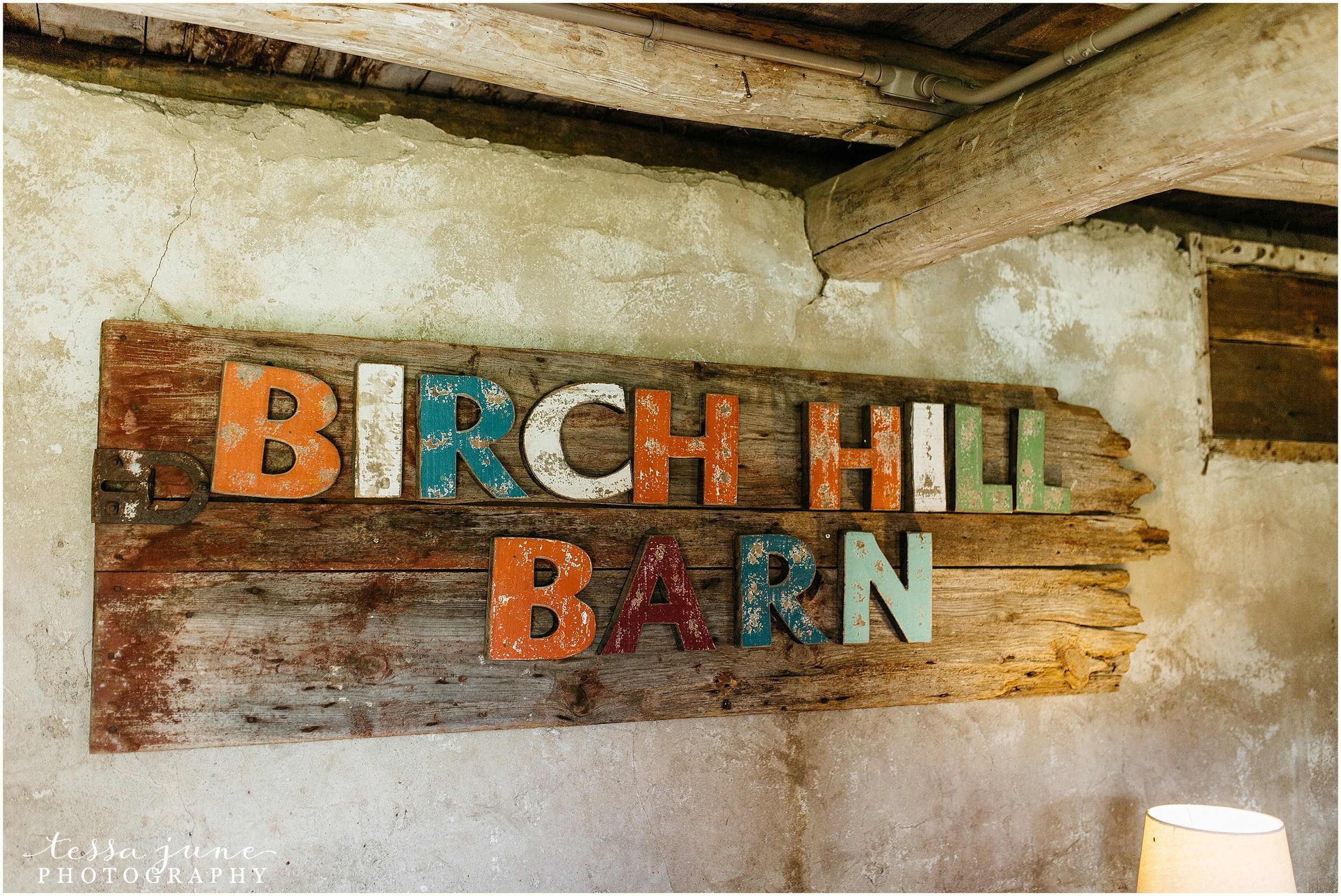 birch-hill-barn-glenwood-city-wisconsin-st-cloud-wedding-photographer-3270.jpg