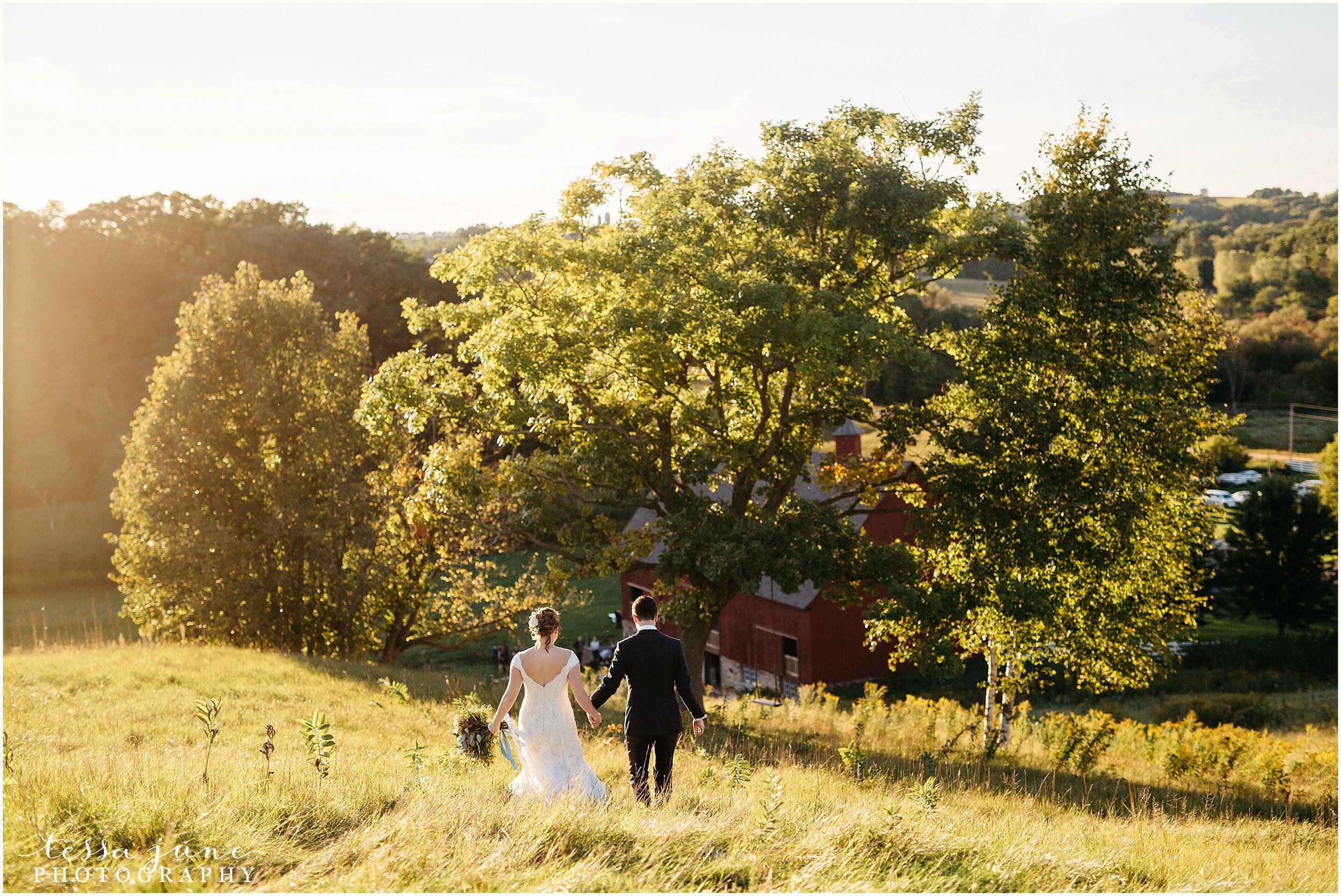 birch-hill-barn-glenwood-city-wisconsin-st-cloud-wedding-photographer-4833.jpg