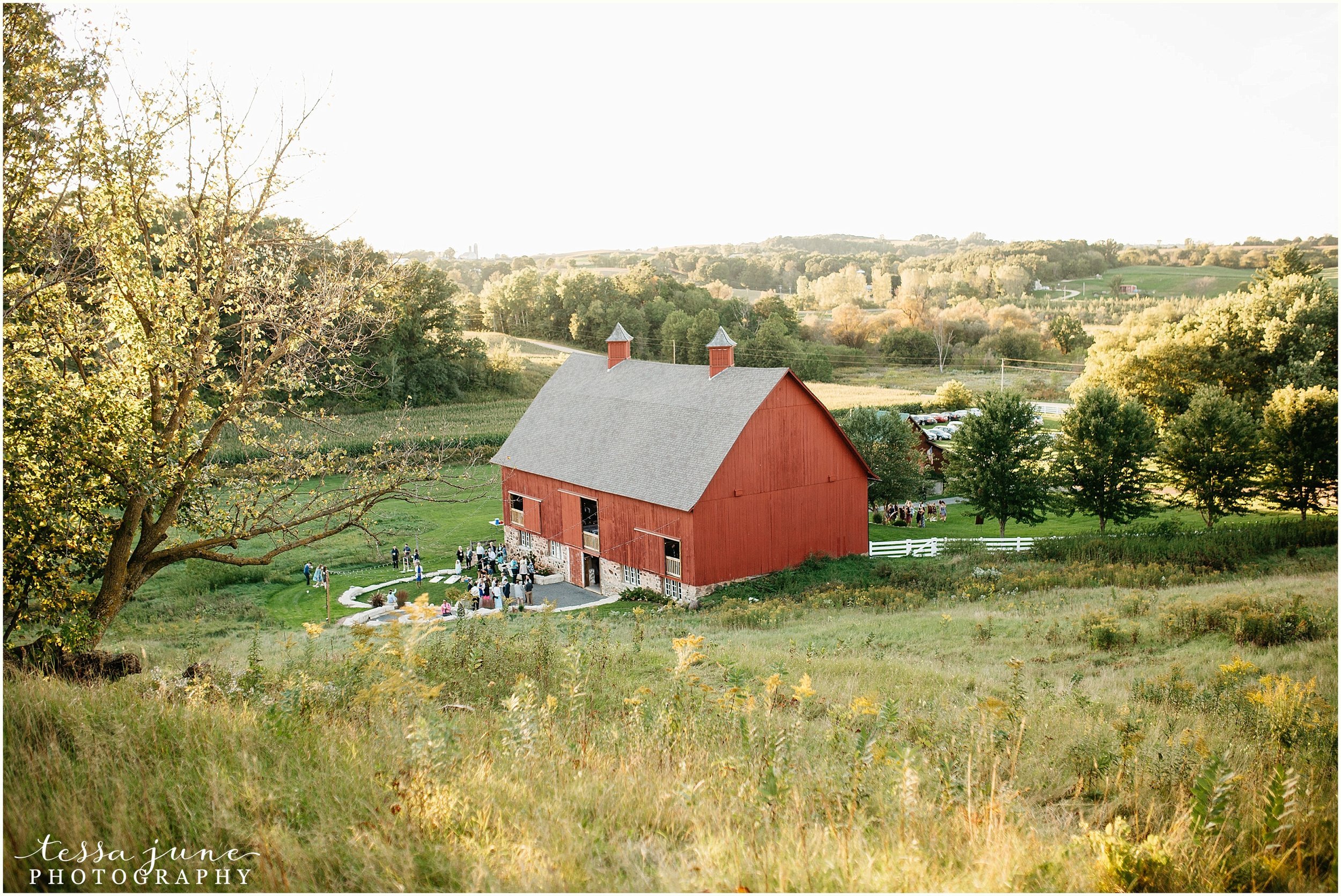 birch-hill-barn-glenwood-city-wisconsin-st-cloud-wedding-photographer-4917.jpg