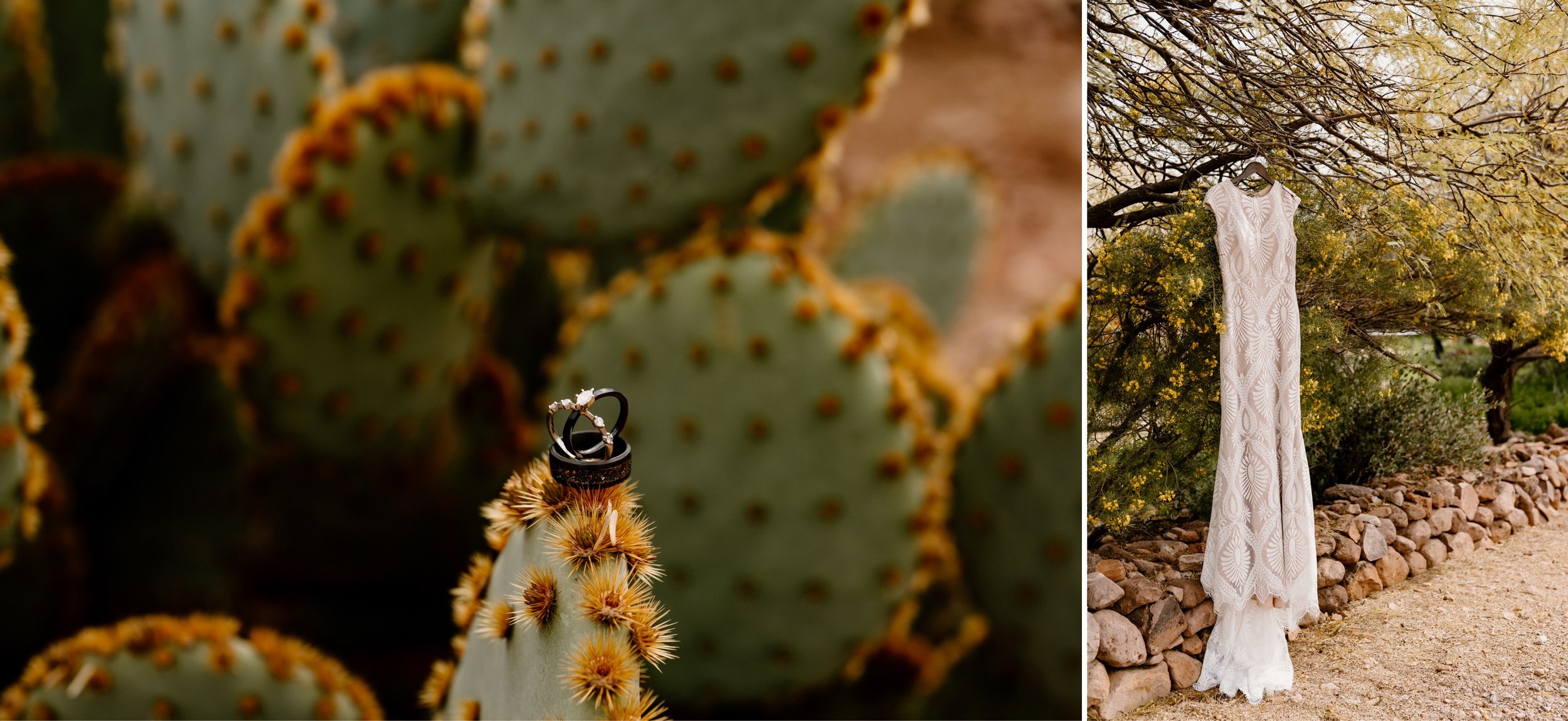 02_Superstition Mountain Backyard Wedding in Apache Junction, Arizona.jpg