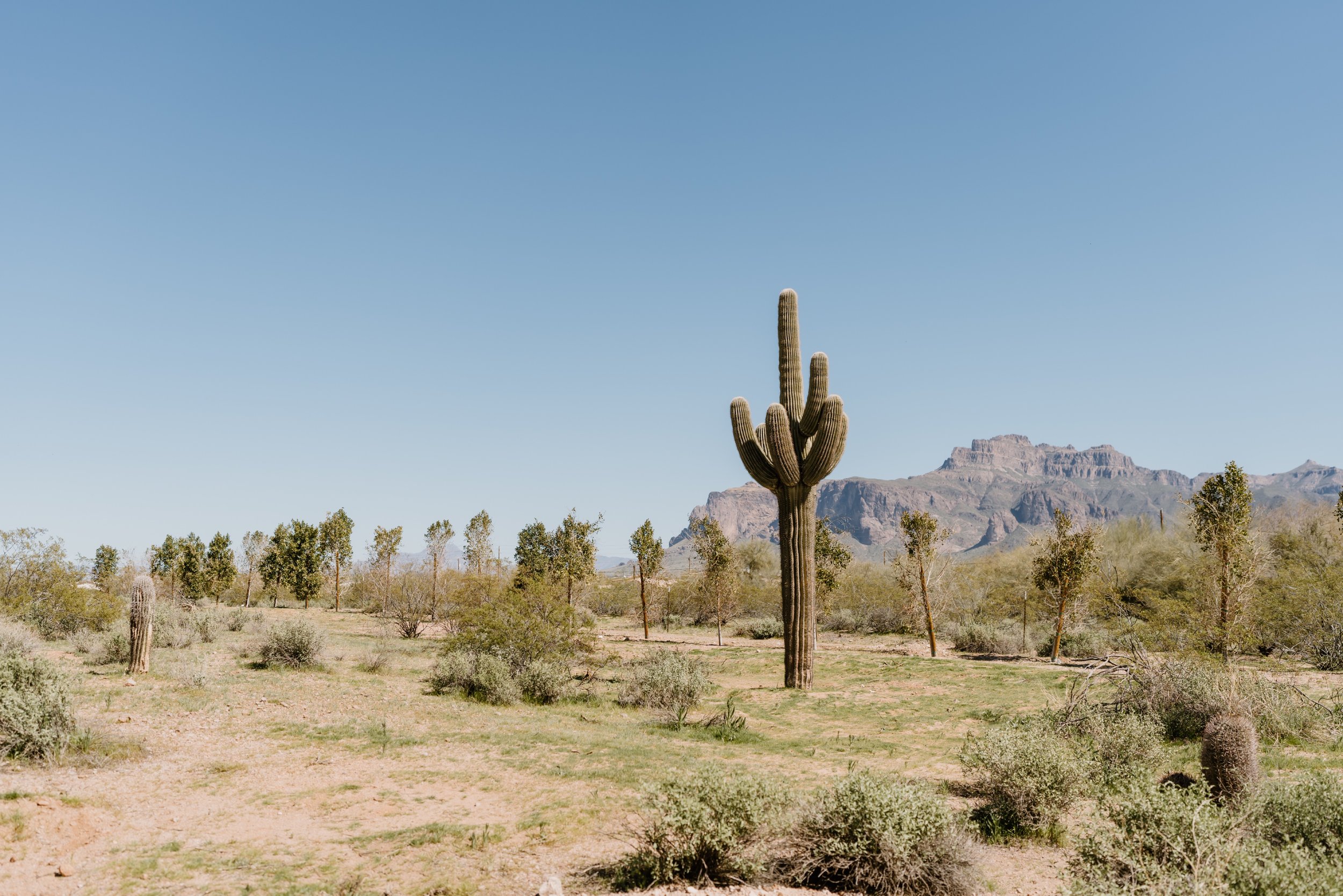 20_Desert View Weddings and Events in Apache Junction, Arizona.jpg