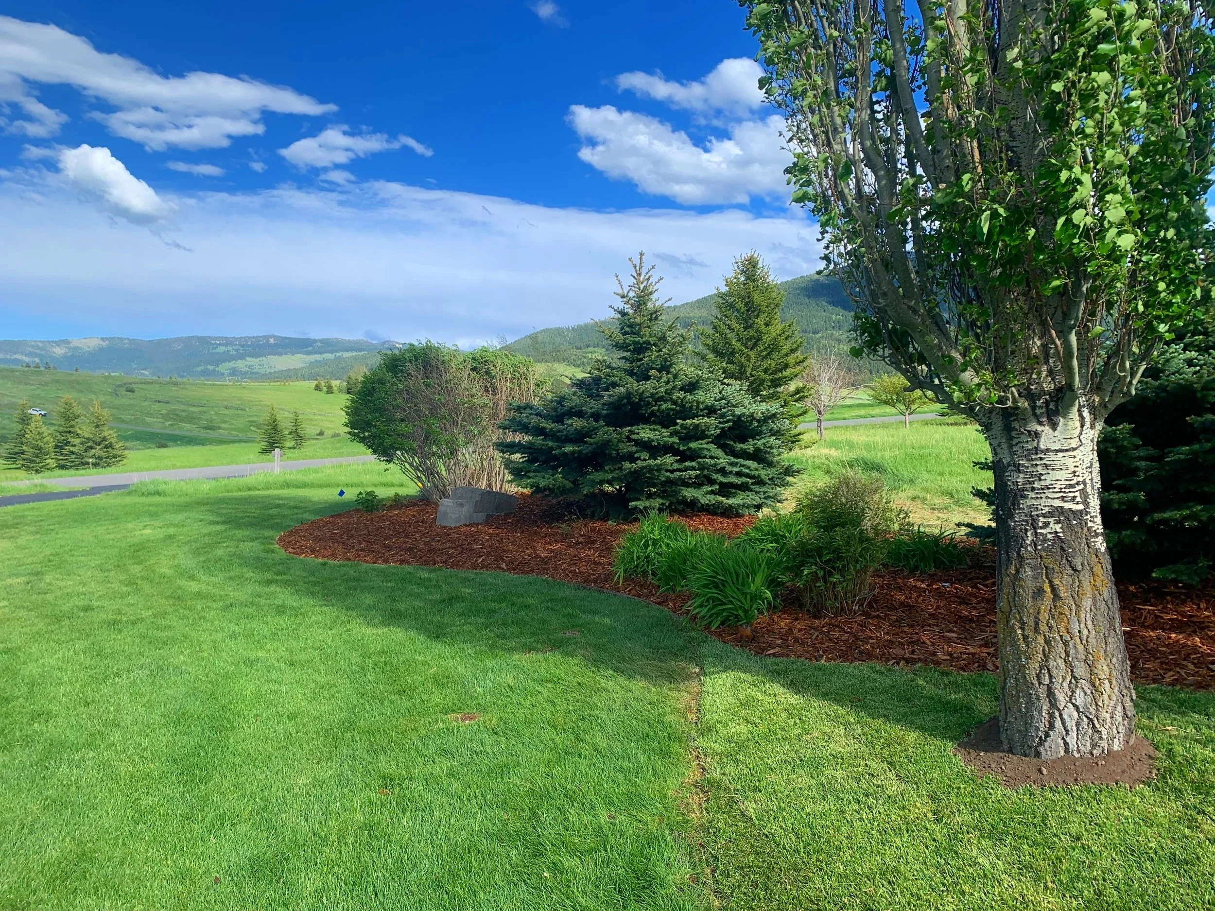 Landscaping — Benoit Landscape