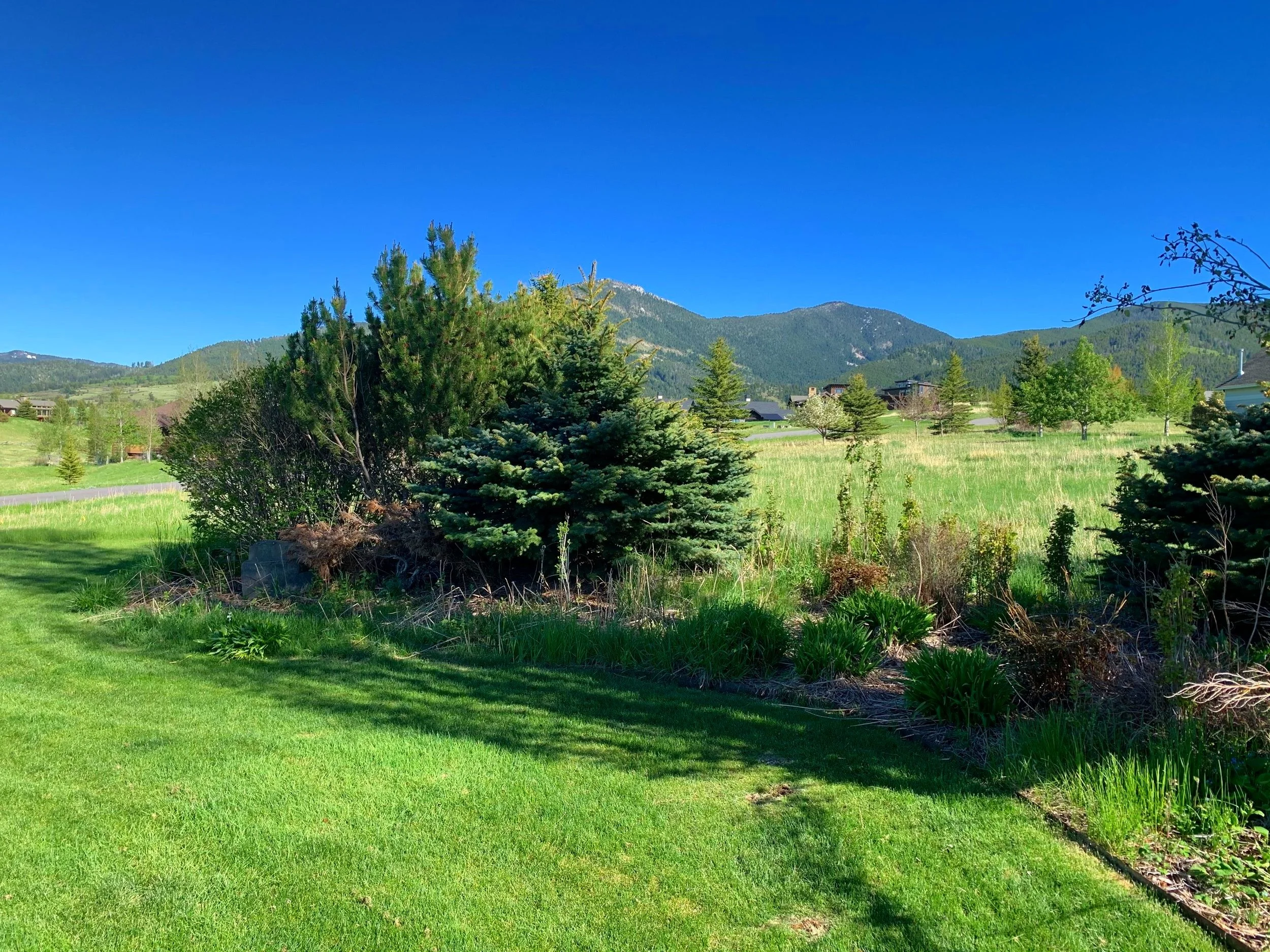 Landscaping — Benoit Landscape