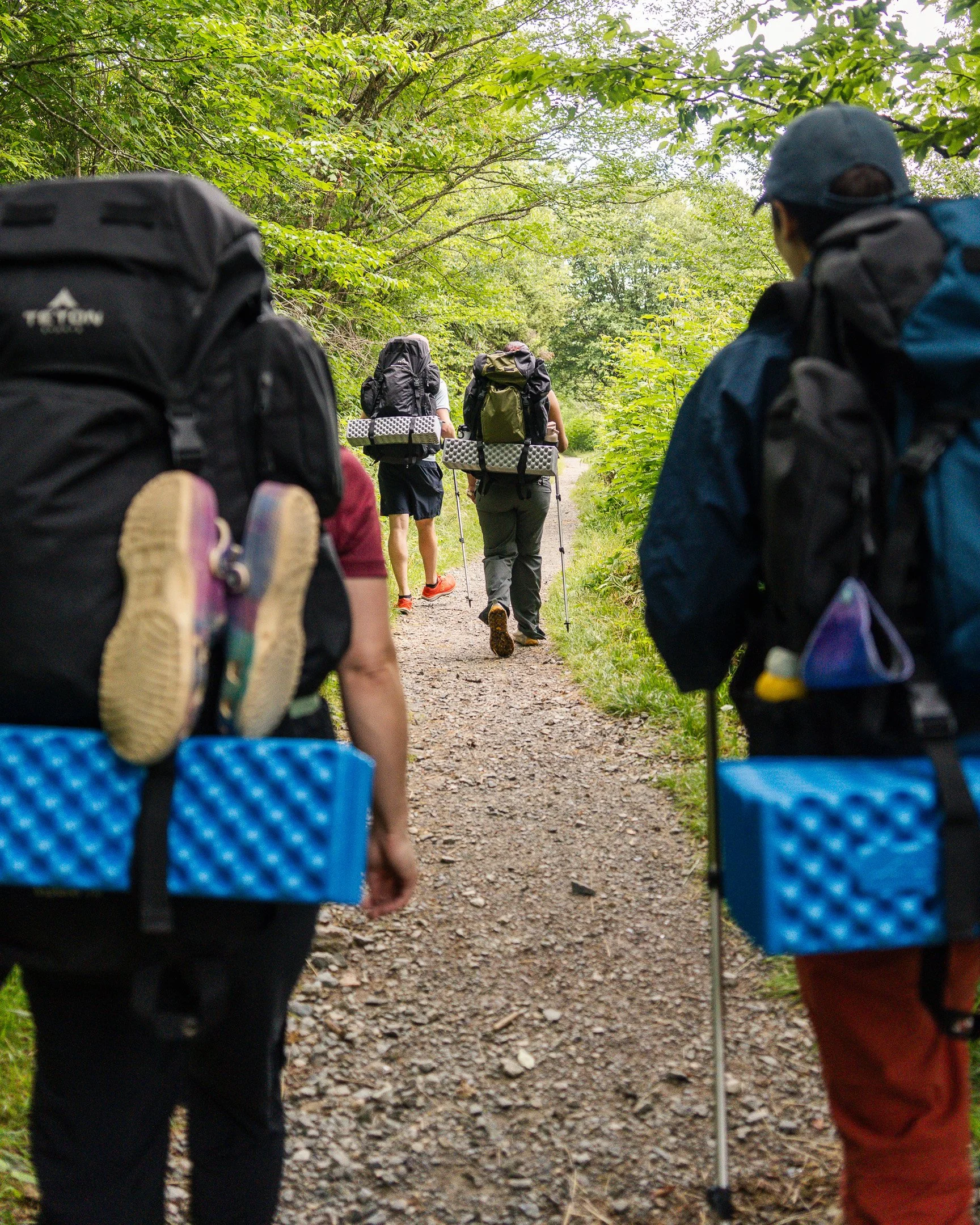 Best Time To Hike in North Carolina