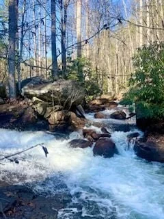 Guidelines for protecting the Gorges