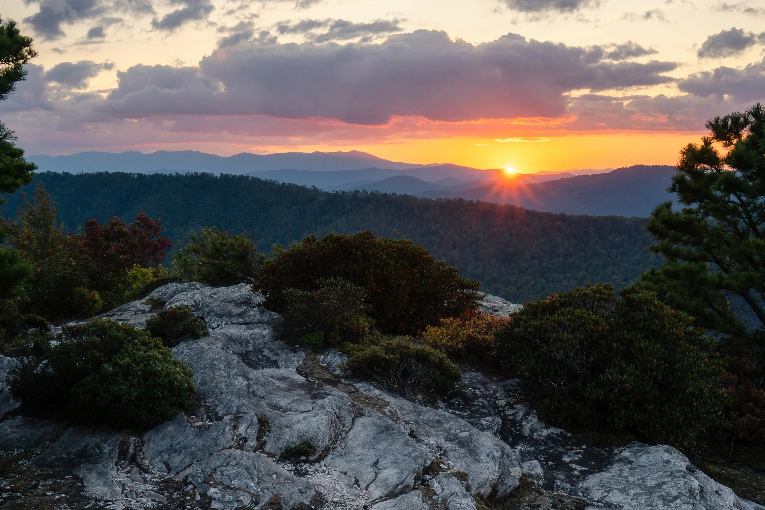 Best NC Backpacking Loops: Trail-by-Trail Guide for Every Skill Level