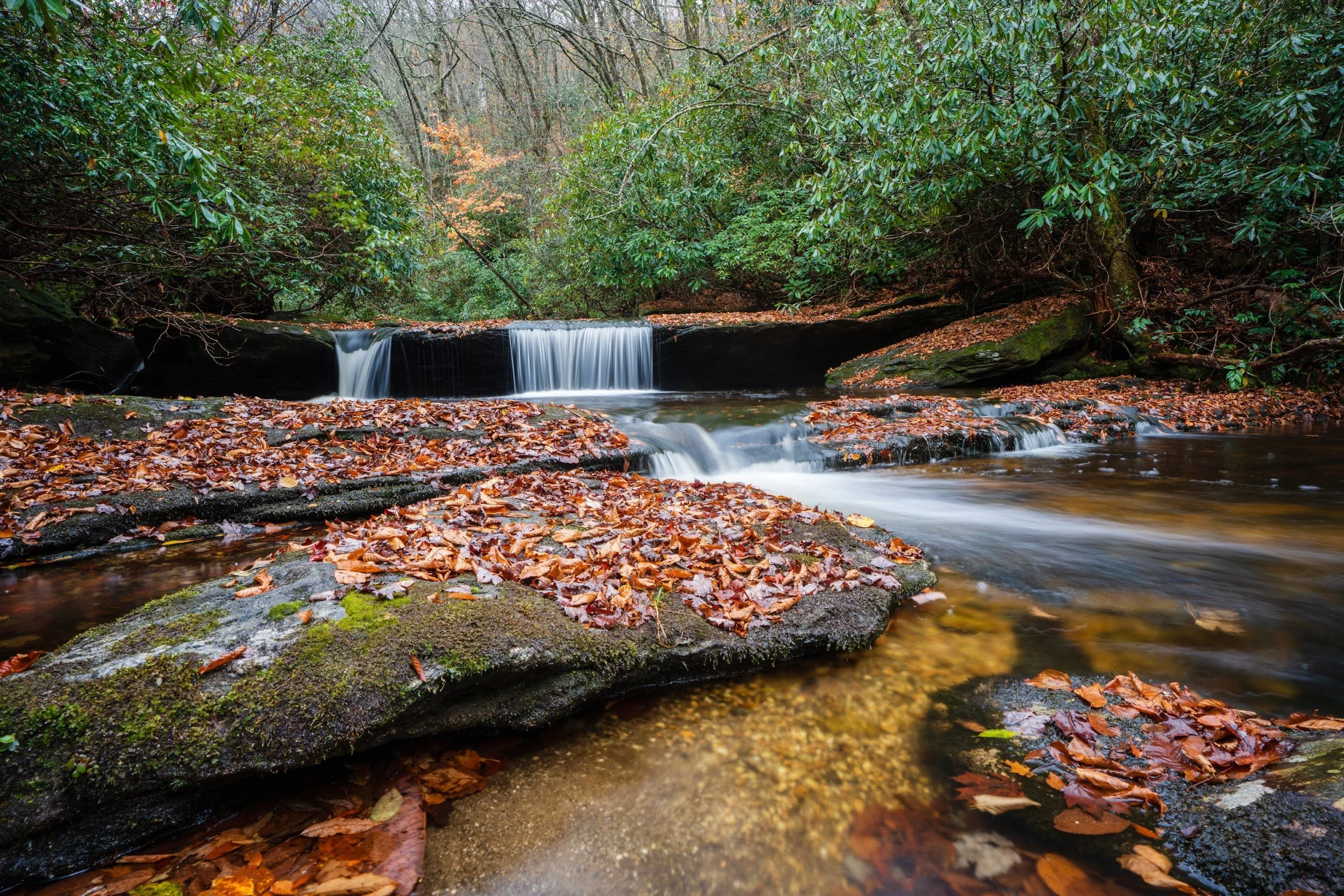 Small waterfall spilling over a rock ledge into a creek covered in autumn leaves in Western North Carolina