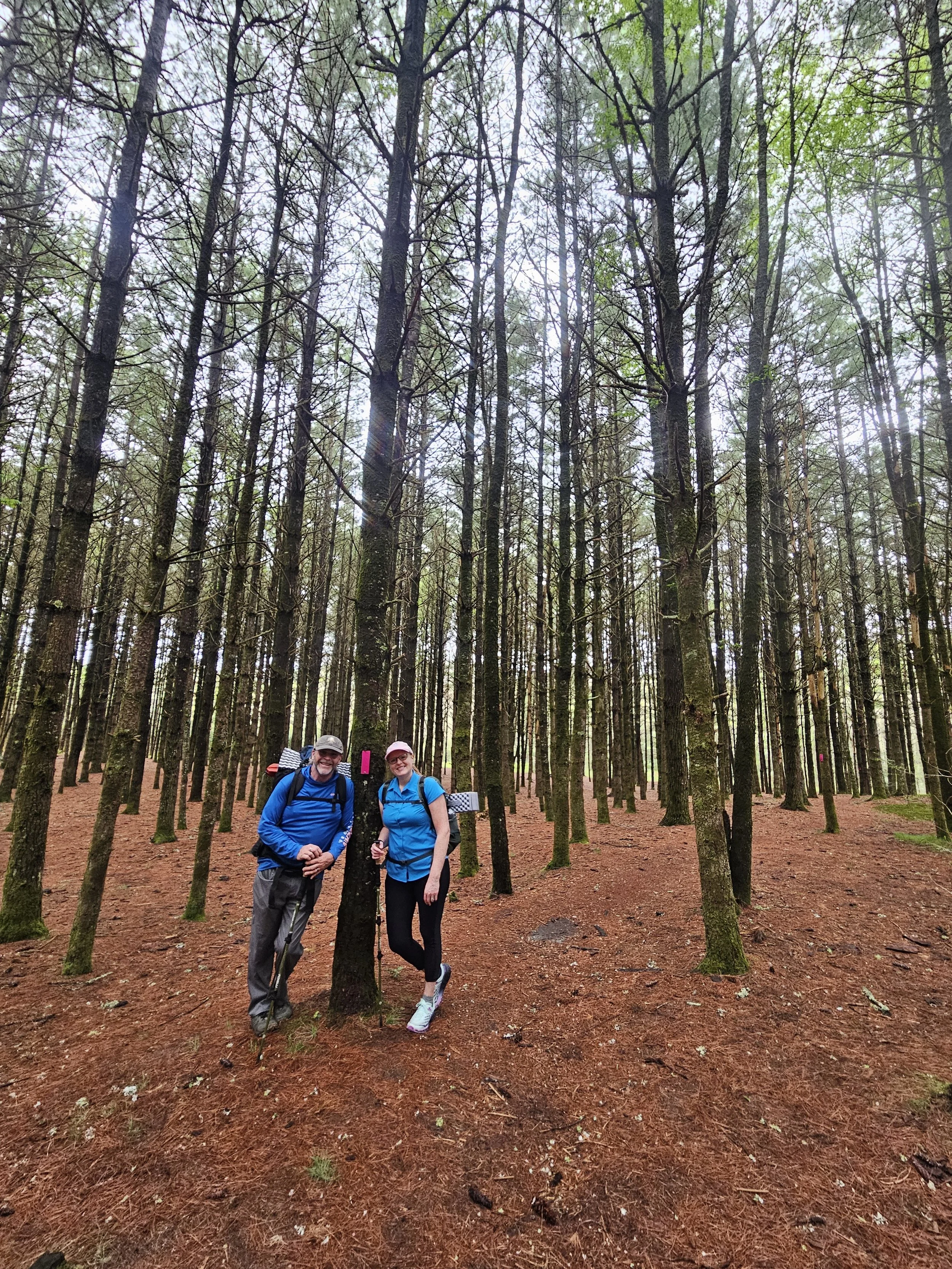 backpacking in North Carolina