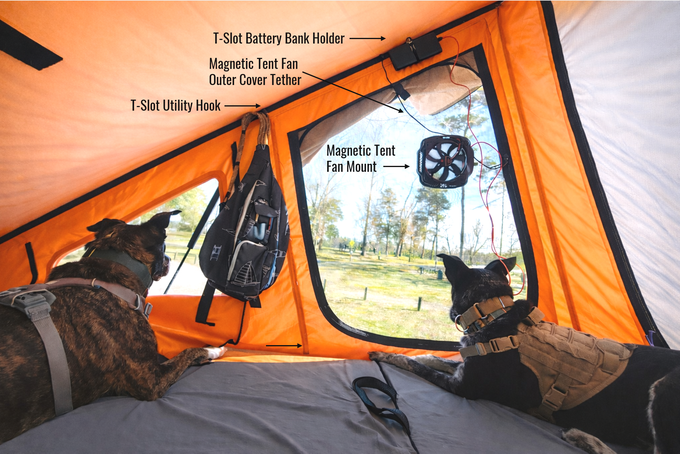 Interior view of an orange camping tent with two dogs lying on the floor, looking out the window. Labels identify the T-Slot Battery Bank Holder, Magnetic Tent Fan Mount, Outer Cover Tether, T-Slot Utility Hook, and Magnetic Tent Fan.