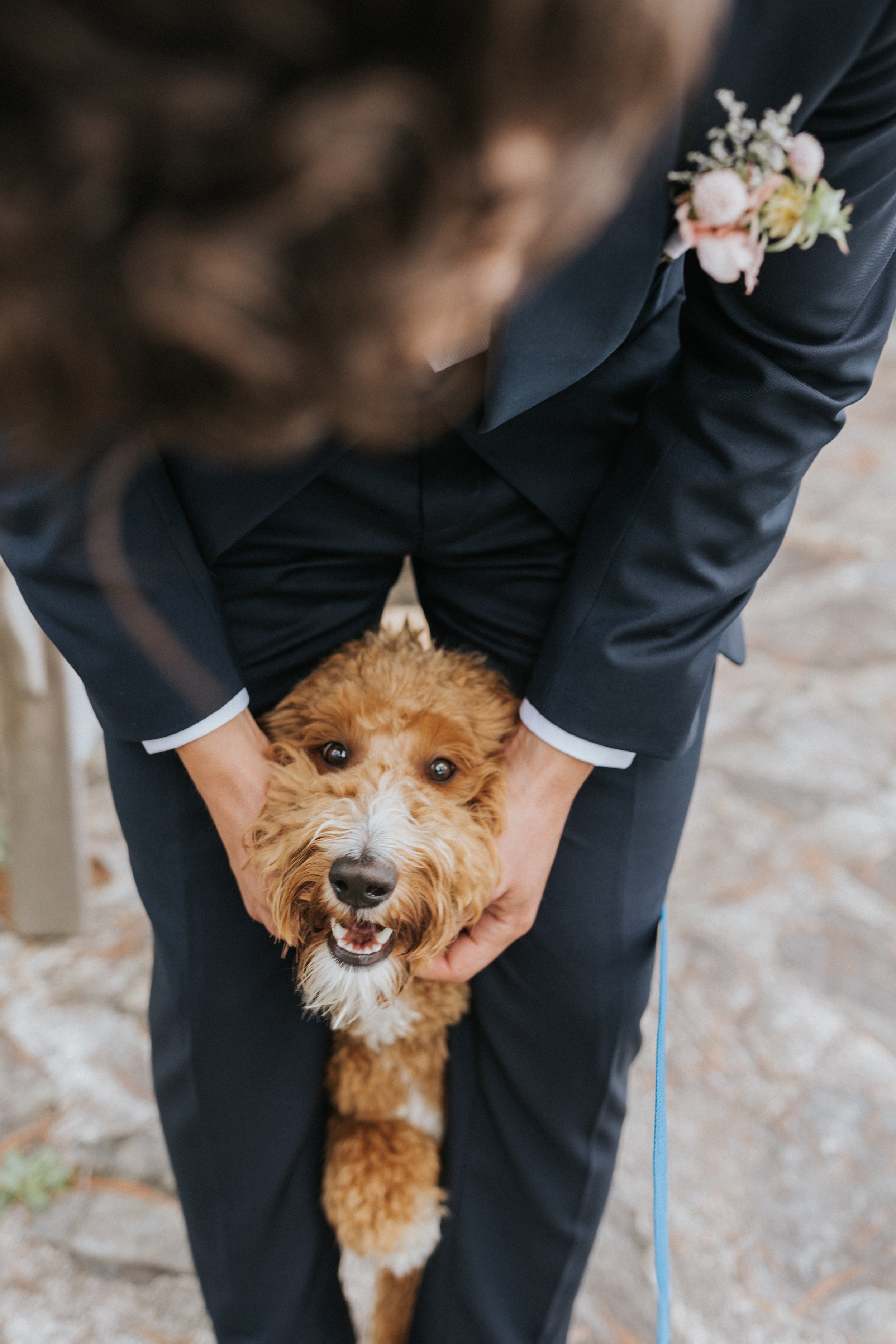 garrison-anne-wedding-evetnts-midcoast-maine-Emily_Stephen_Linekin_Wedding_First_Look_Portraits-051.jpg