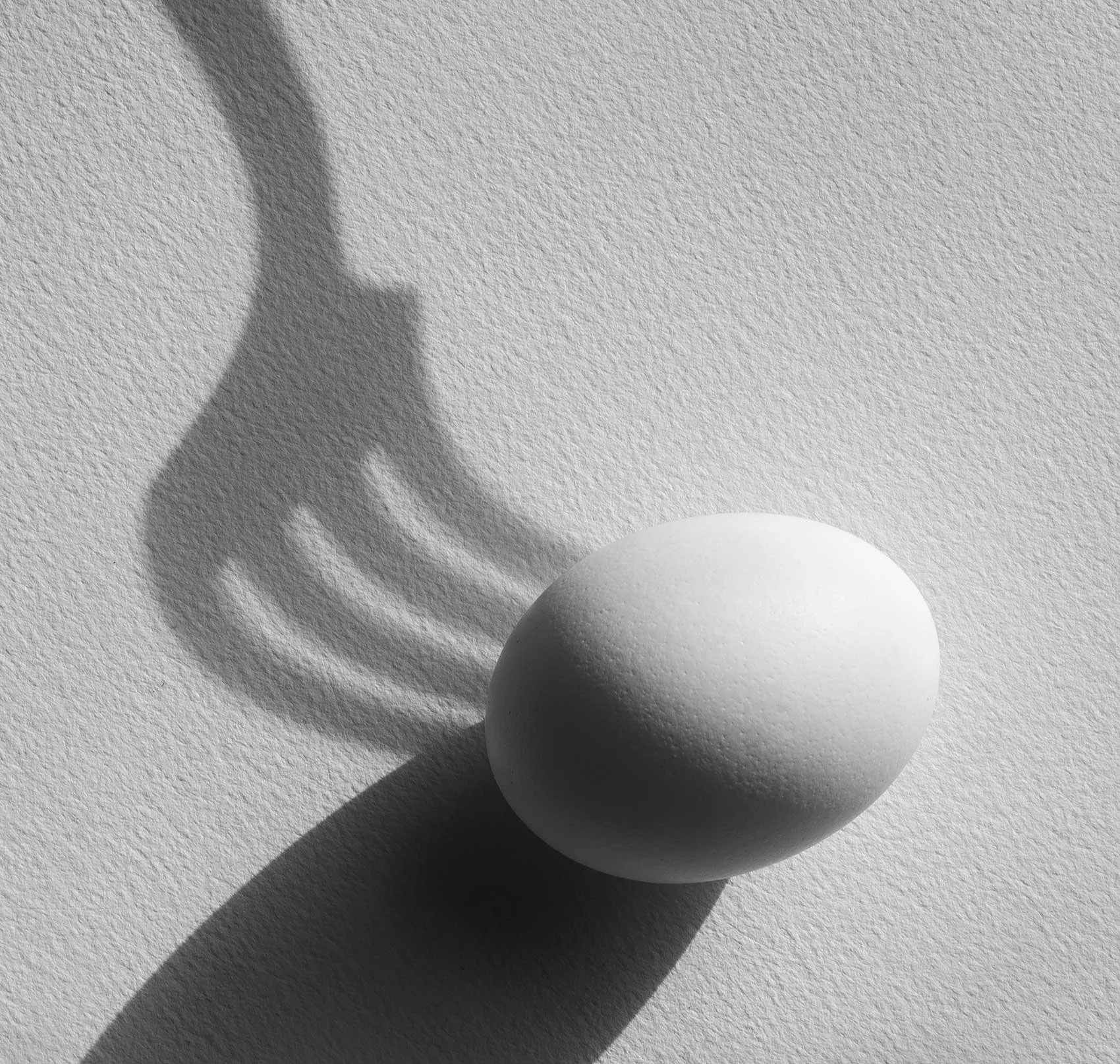 Fork with Egg #2