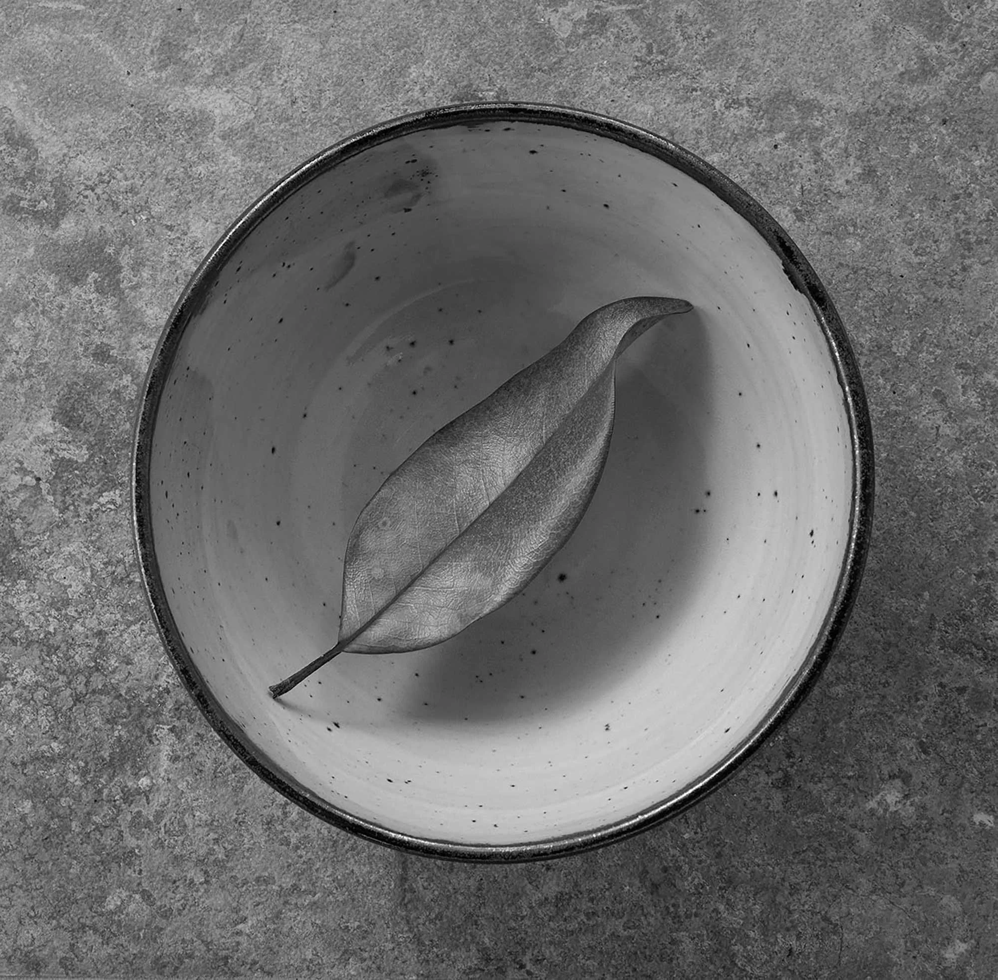 Leaf in Bowl