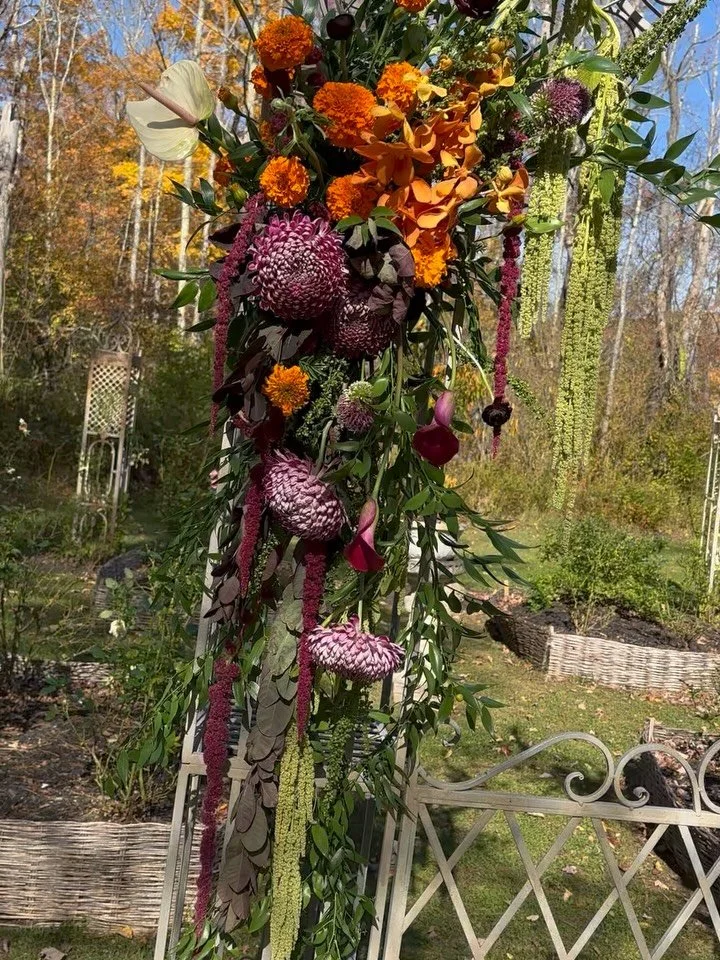 DrEaMy
Floral design, floral install, archway
#ido #floralarch #floralonstall #newleafflorals #weddingflorist  #archway