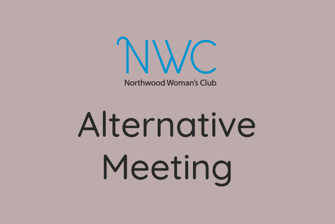 alternative.meeting.image.mauvebg.png
