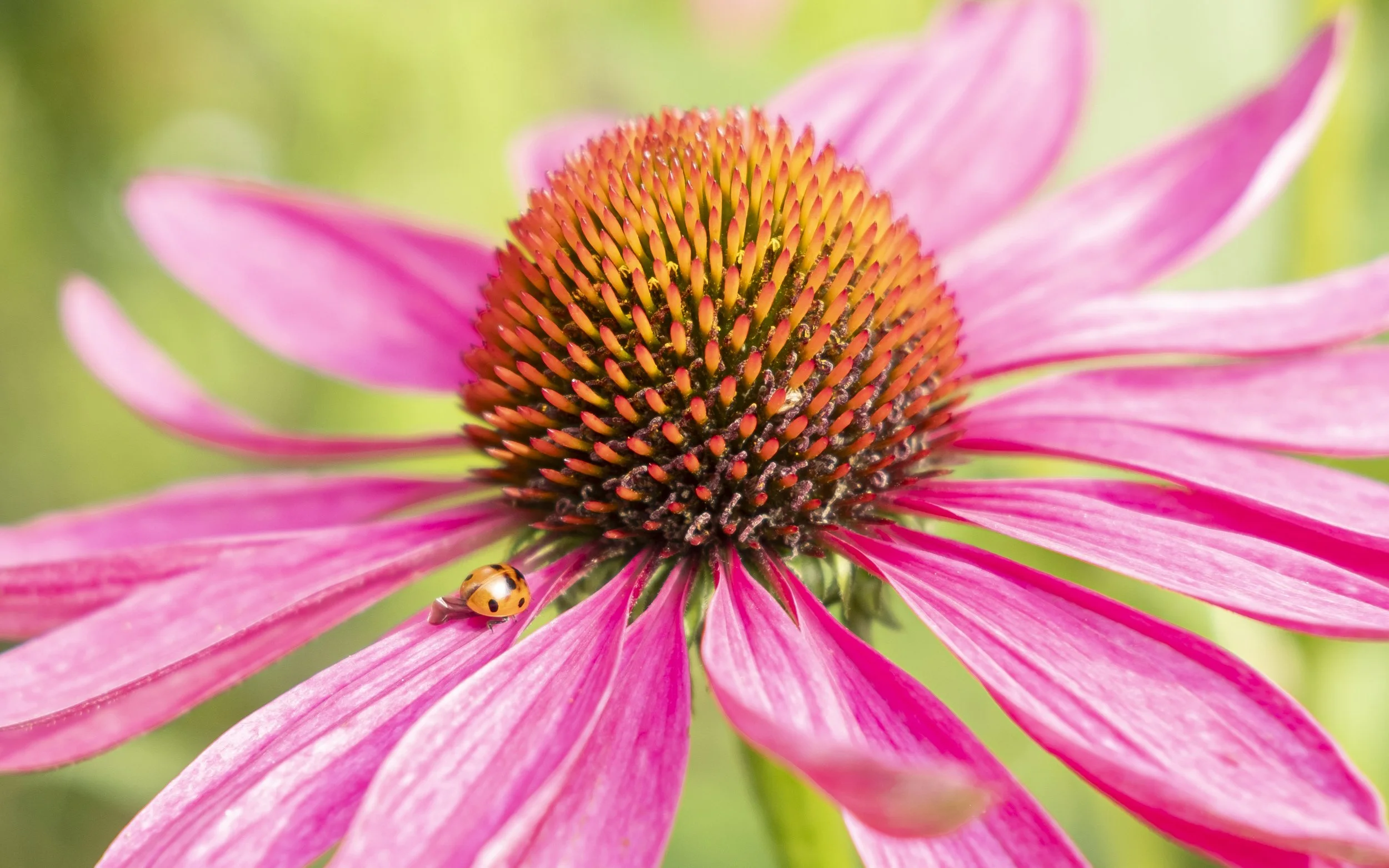 DSCF3931.jpg