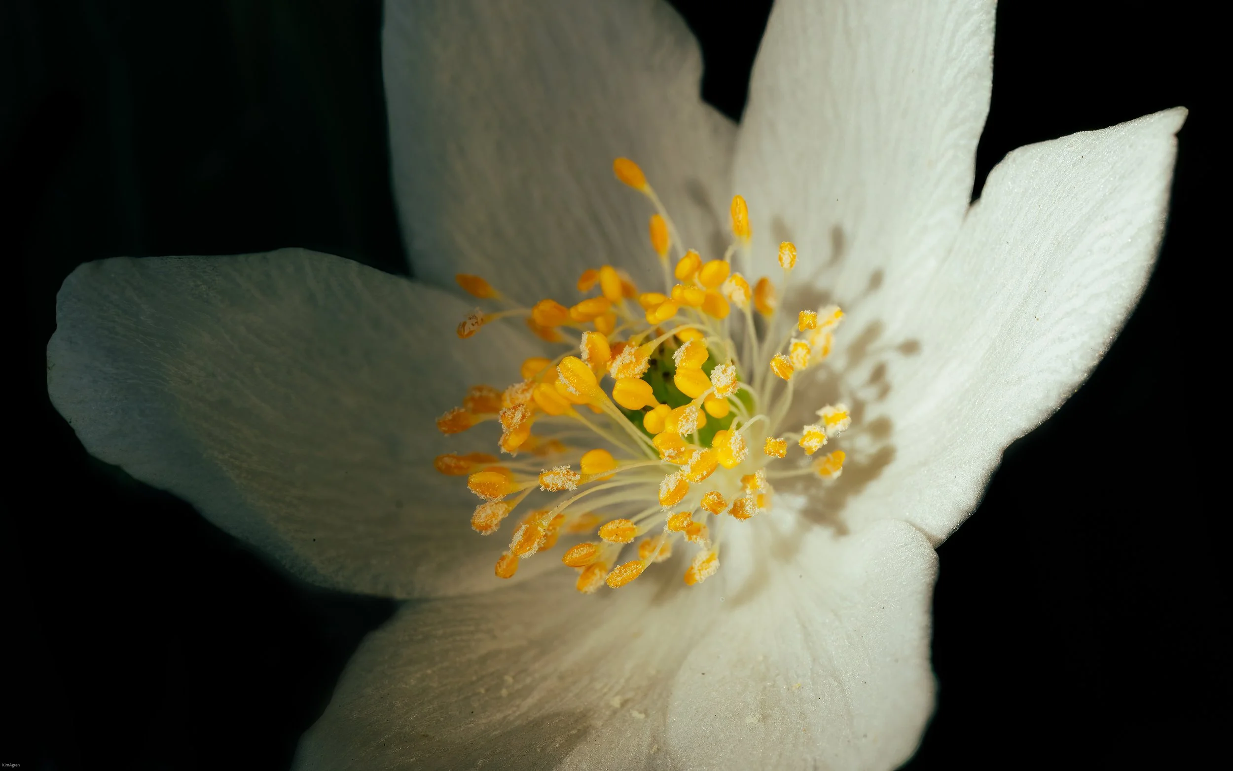 DSC04356-Edit.jpg