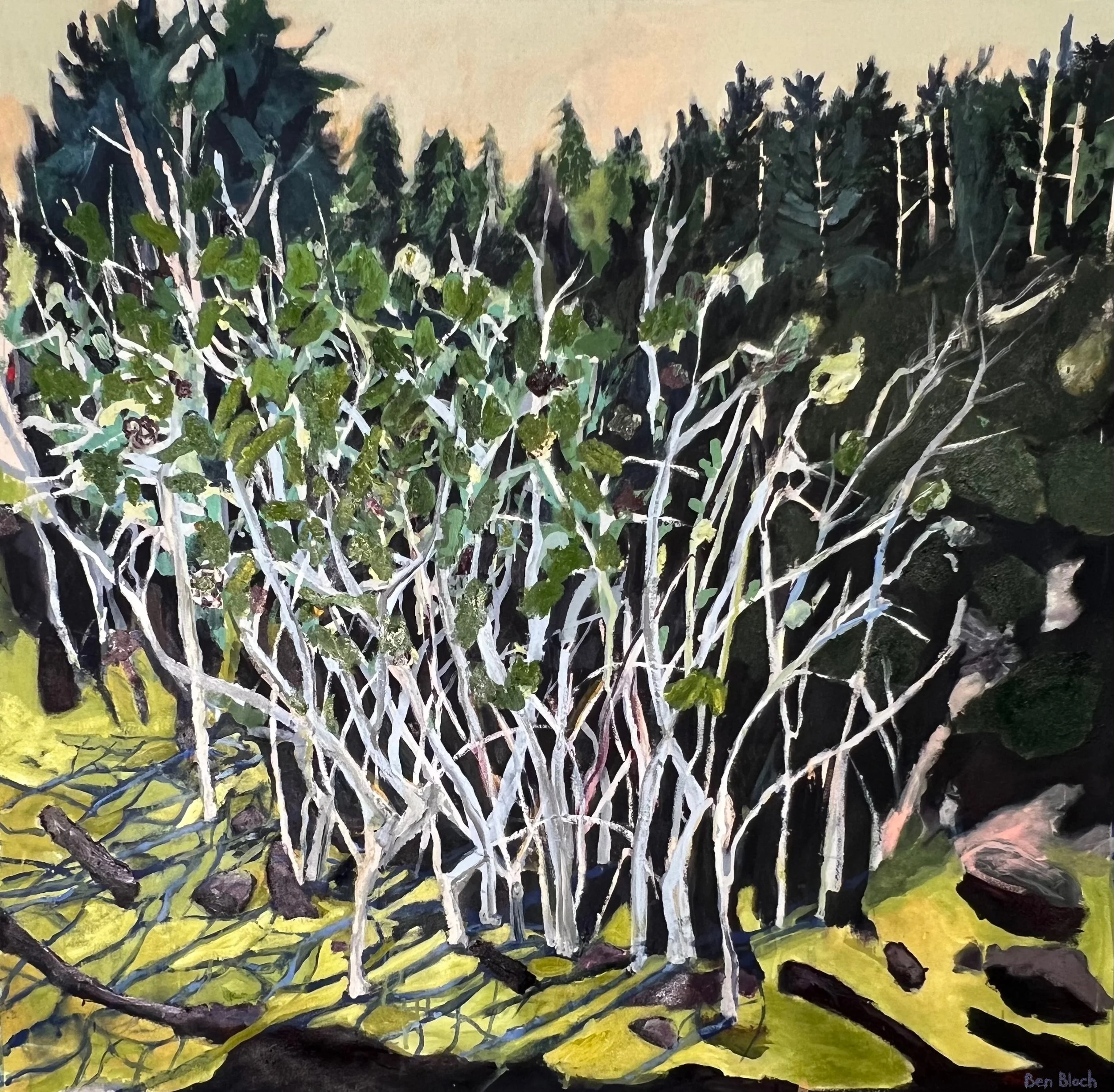 Morel Mushrooms in a Lime Green Forest • $2000