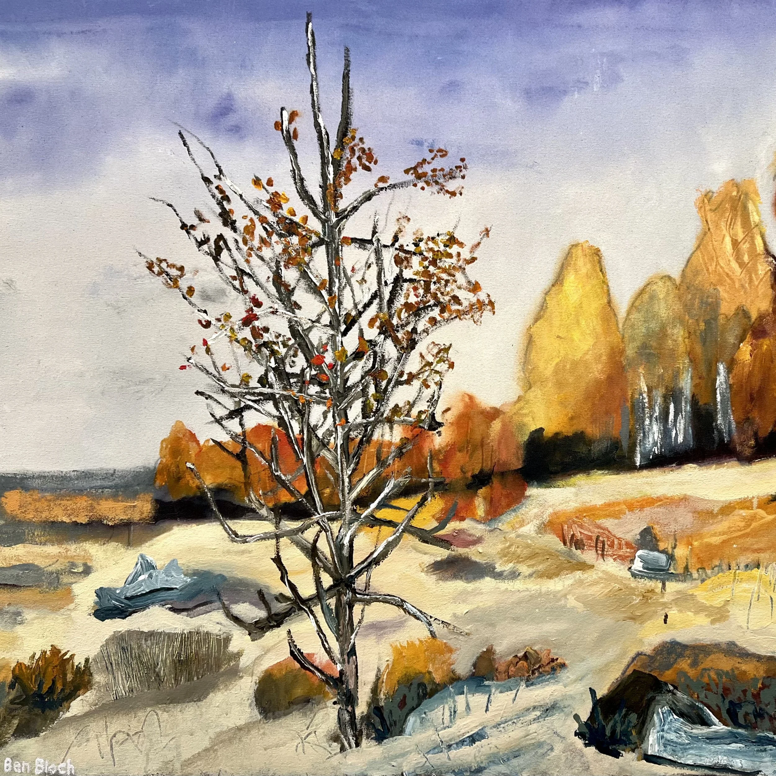 Fall trees, crisp blue sky, hazy clouds (final)(sq).jpg