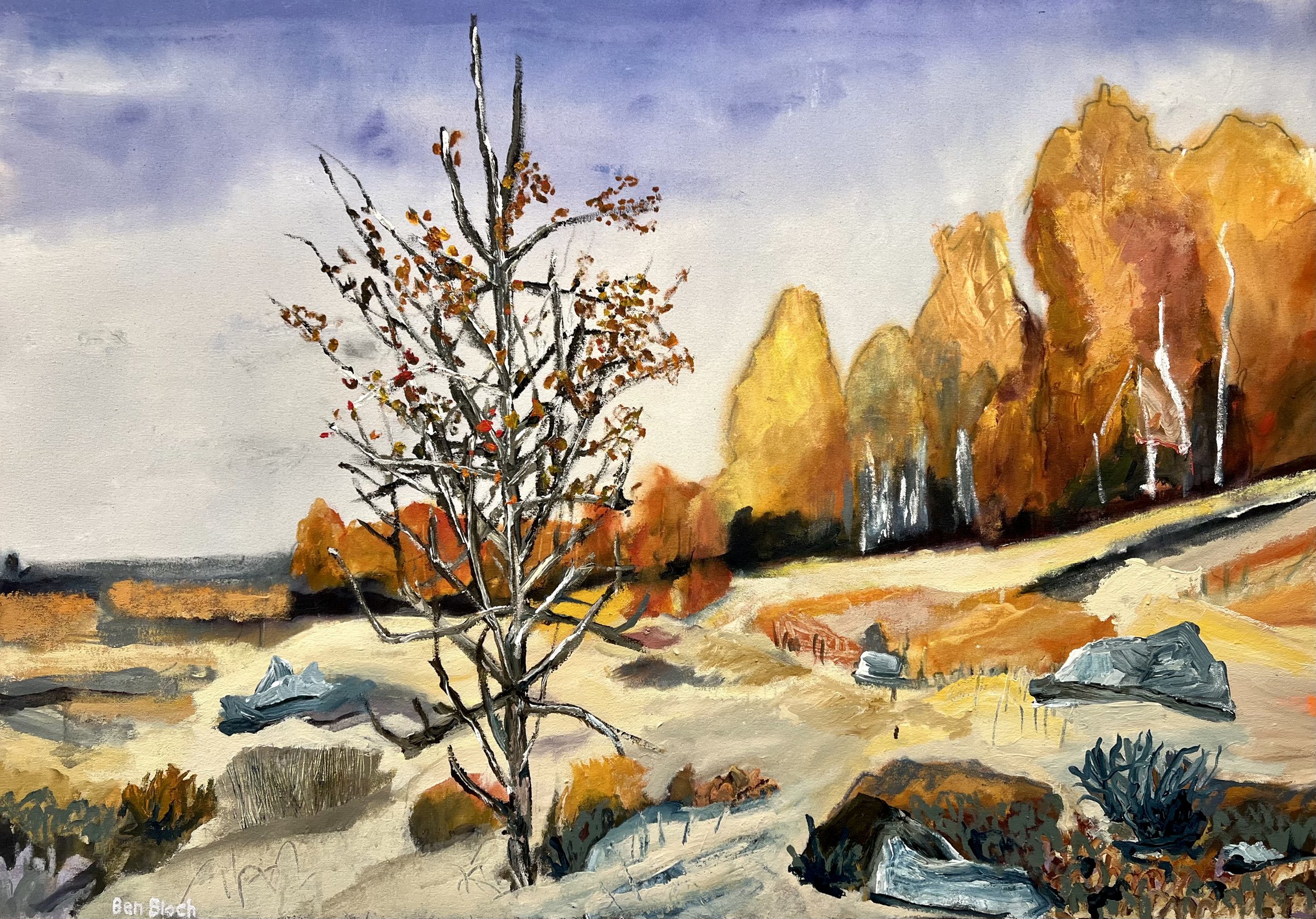 Fall trees, crisp blue sky, hazy clouds