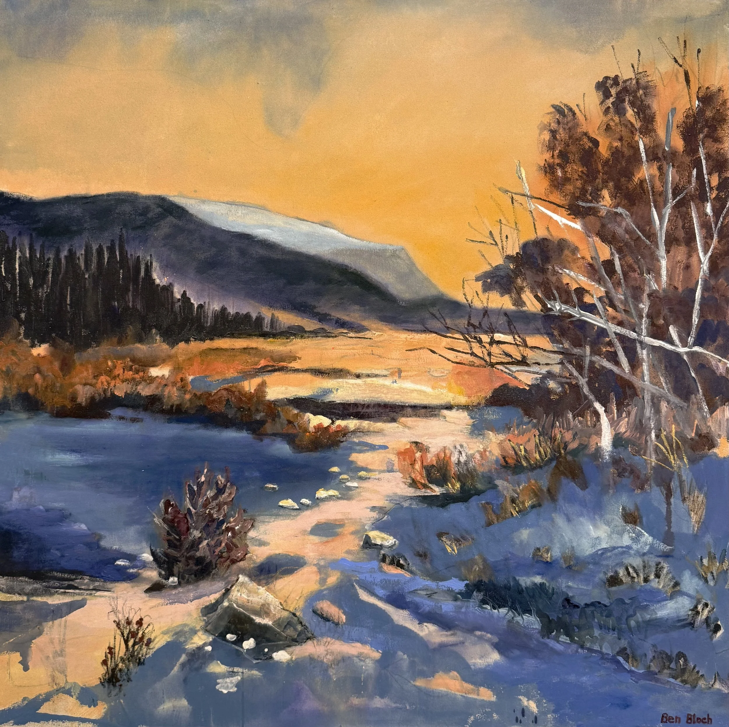 Golden Hour, Early Winter • $2000